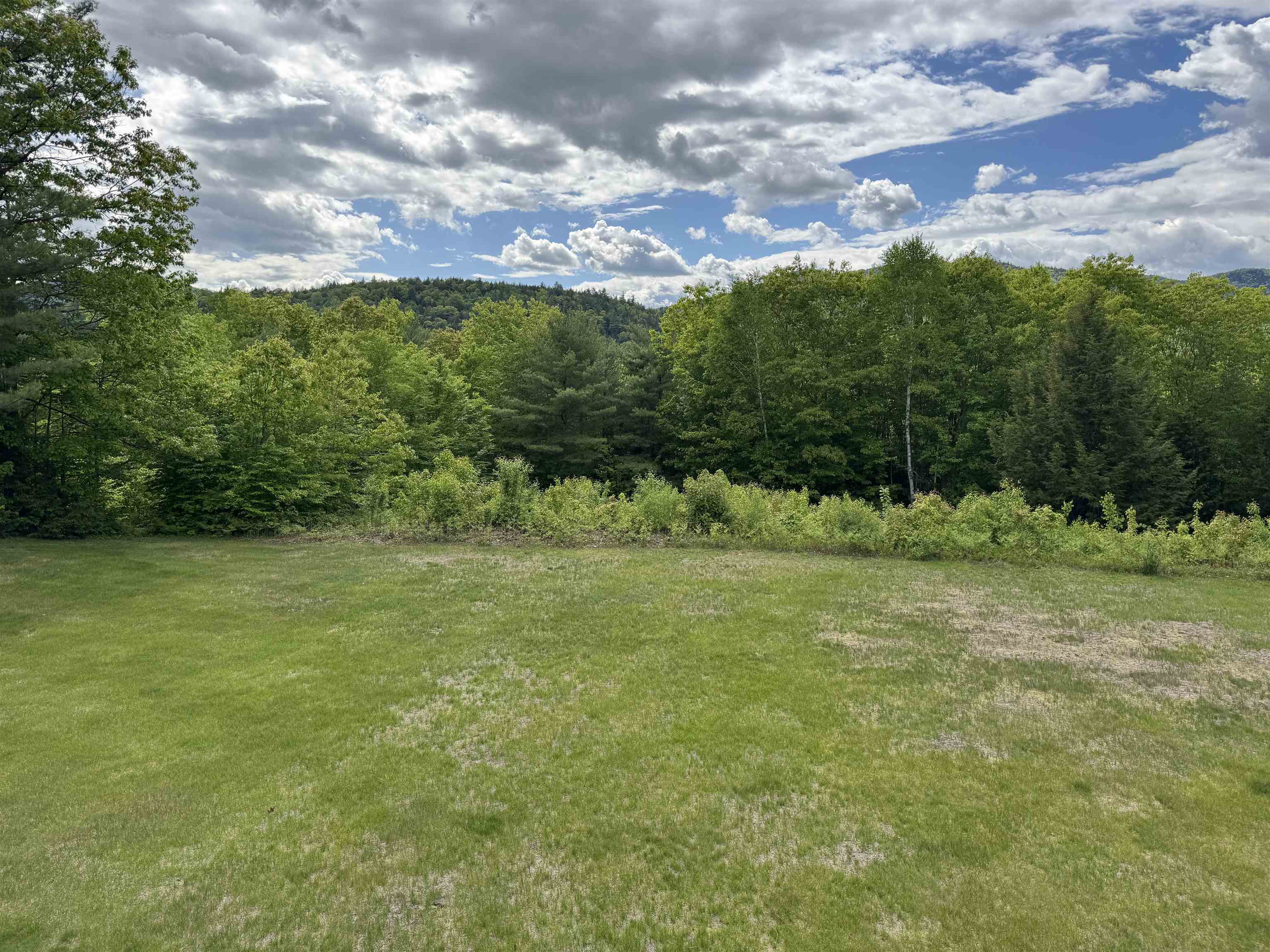 Grassy lawn bordered by dense woodland, with forested hills beneath a partly cloudy sky.
