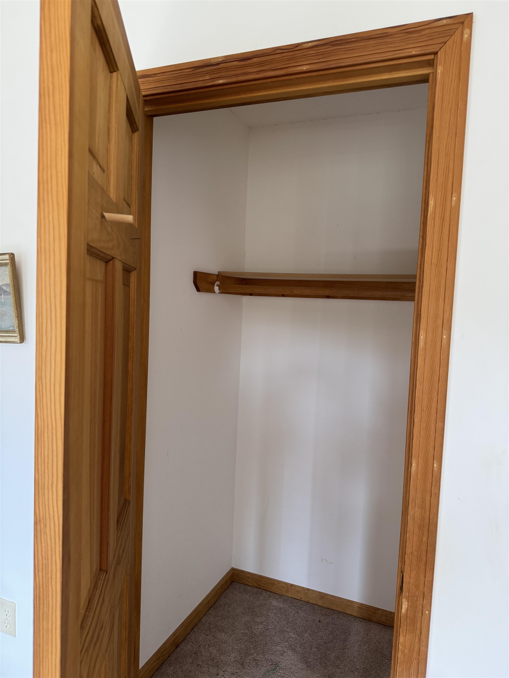 Empty walk-in closet with a wooden clothes rod, brown carpet, and wood trim.