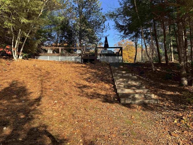 Wooded, sloping yard with stone steps leading to a raised deck.