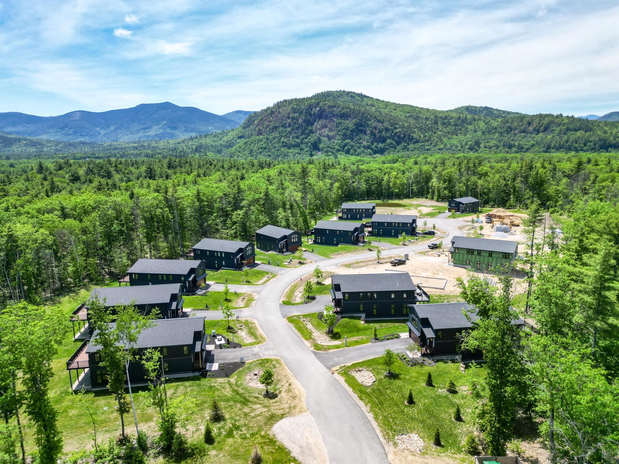 Aerial view of dark modern homes among forest, with mountain ridges in the distance.