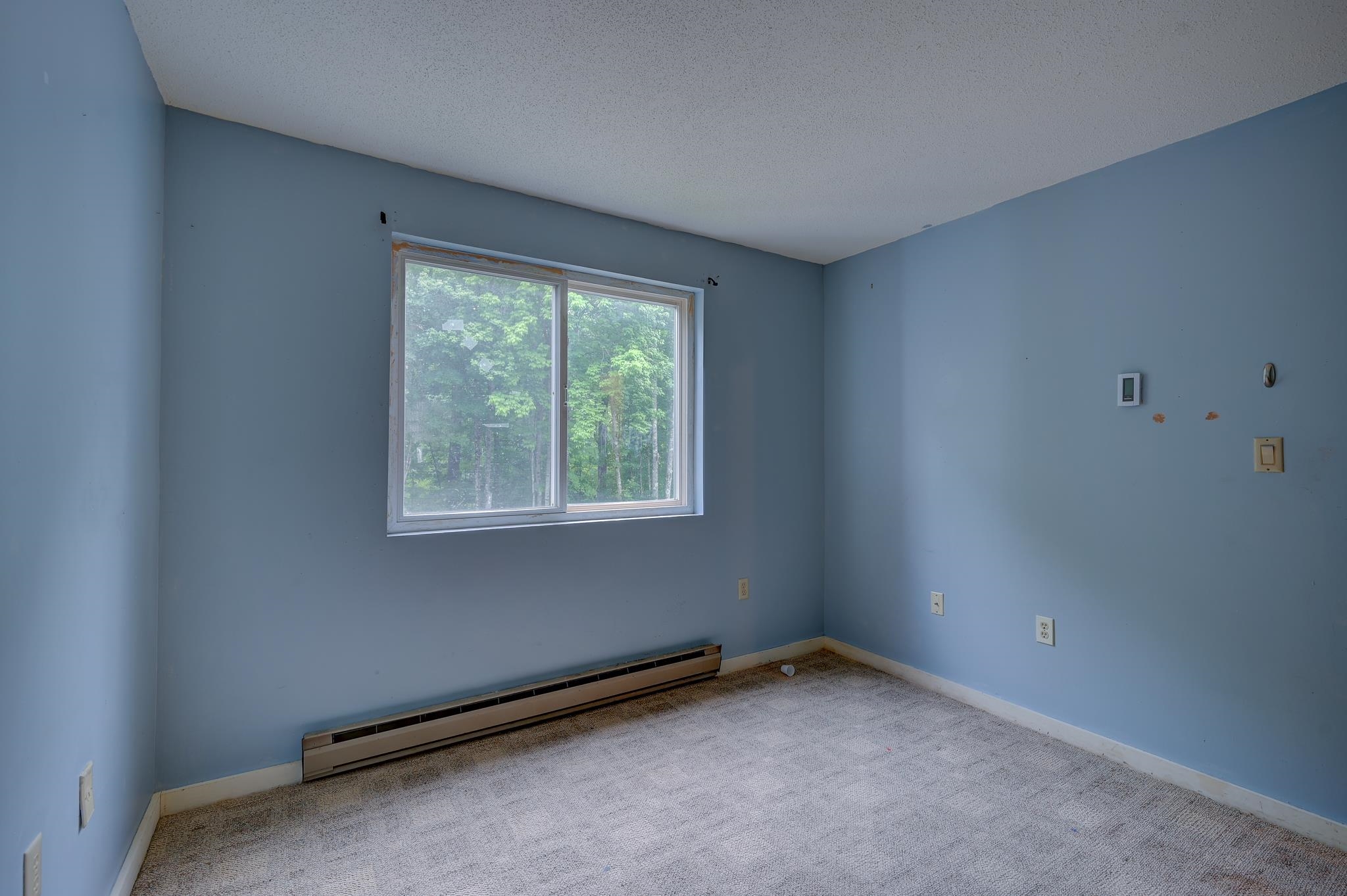 Empty bedroom with blue walls, carpet, and a window overlooking leafy trees.