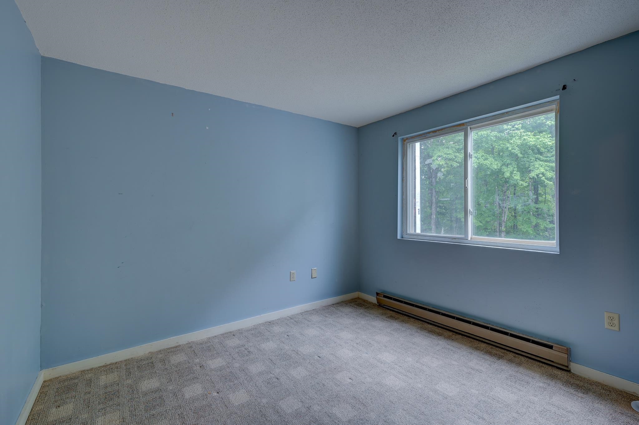 Empty blue bedroom with a large window overlooking leafy trees and a baseboard heater.