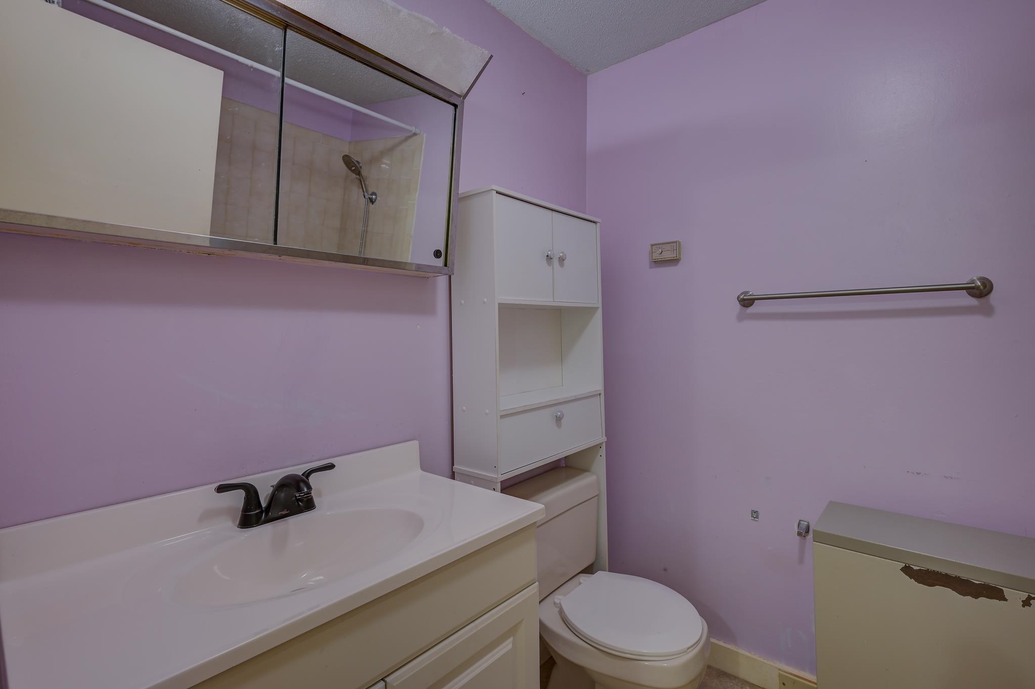 Bathroom with lavender walls, a white vanity and mirrored cabinet, toilet, and wall-mounted grab bar.