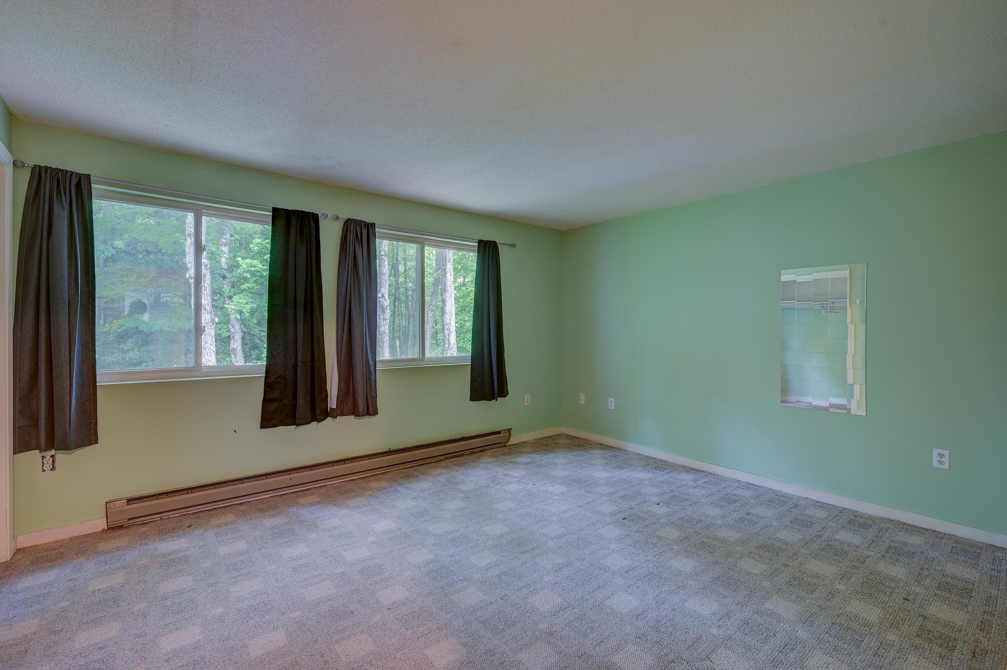 Empty green bedroom with carpet, curtained windows overlooking trees, and a mirrored closet door.