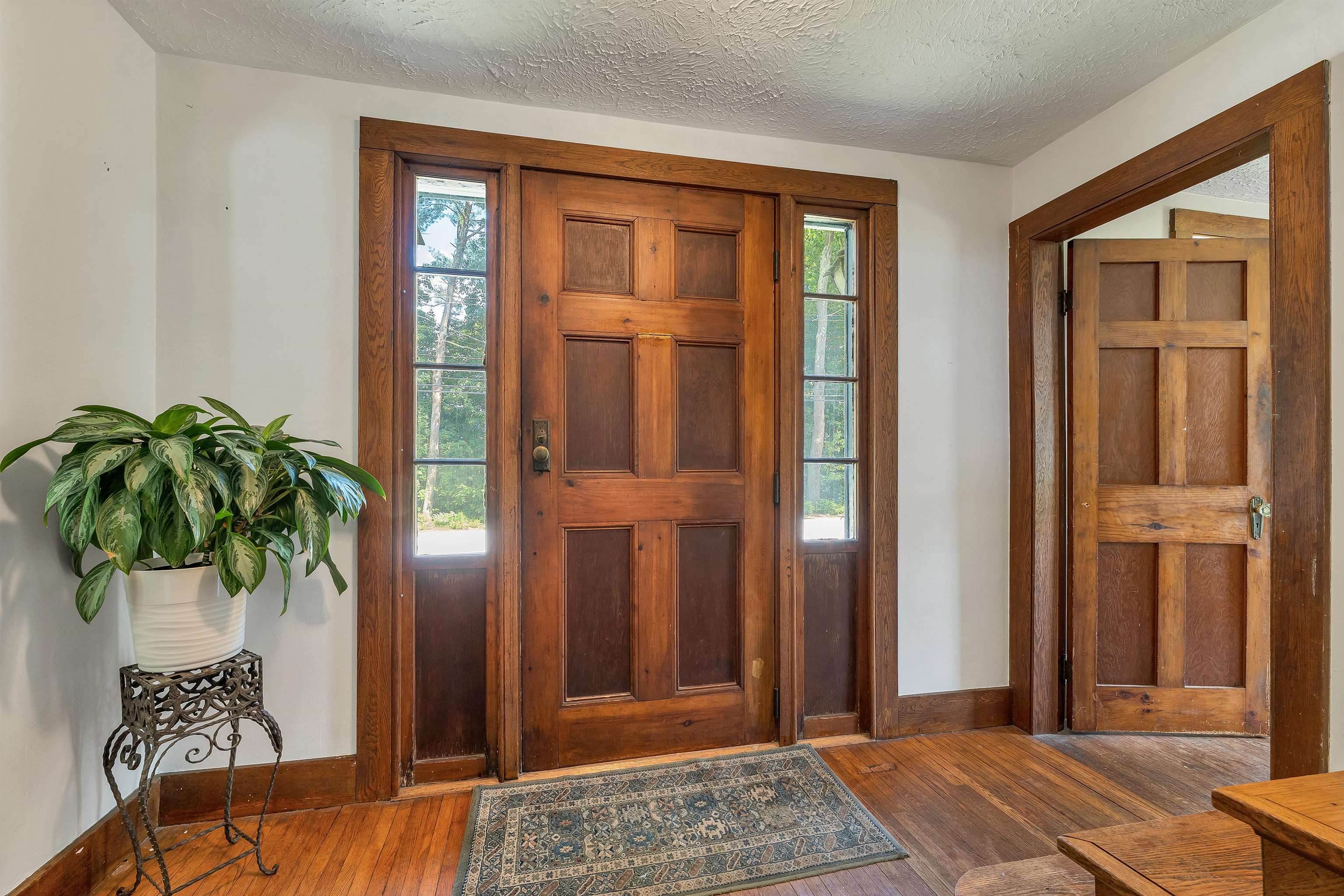 Entryway with paneled wooden front door, sidelights, hardwood floors, patterned rug, and potted plant.