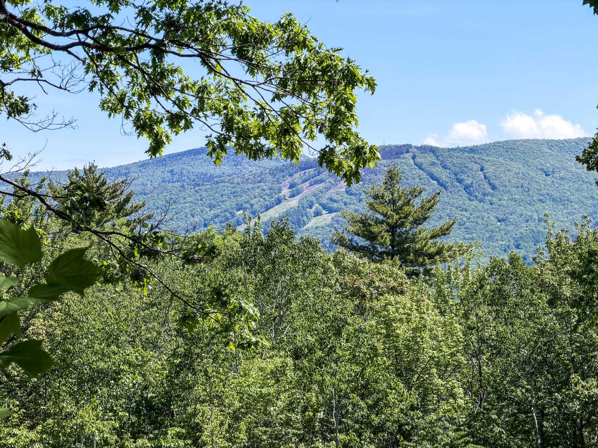 Mountain ridges beyond a leafy forest, framed by overhanging branches.