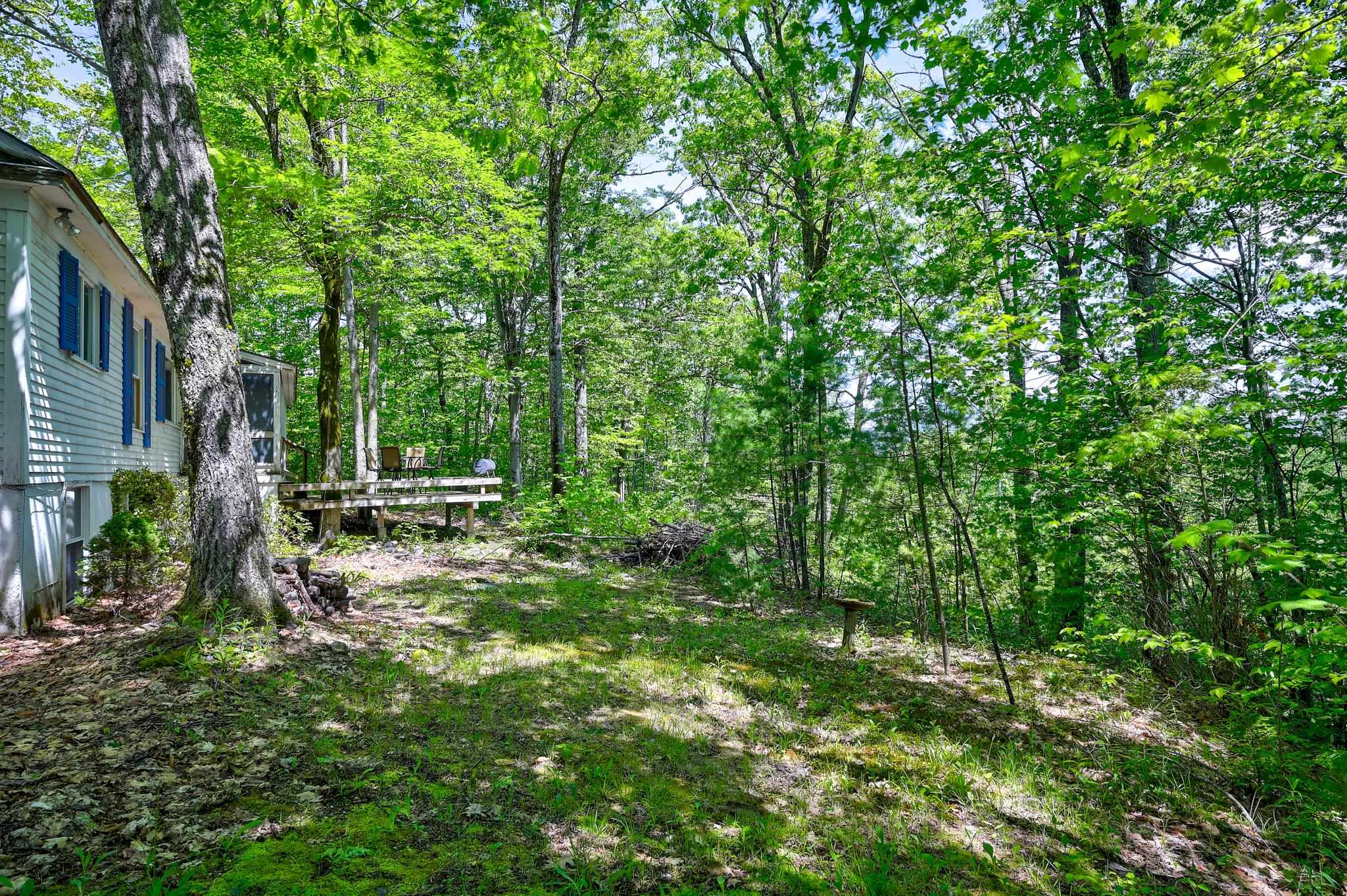 House with blue shutters and a raised deck in a leafy wooded yard.