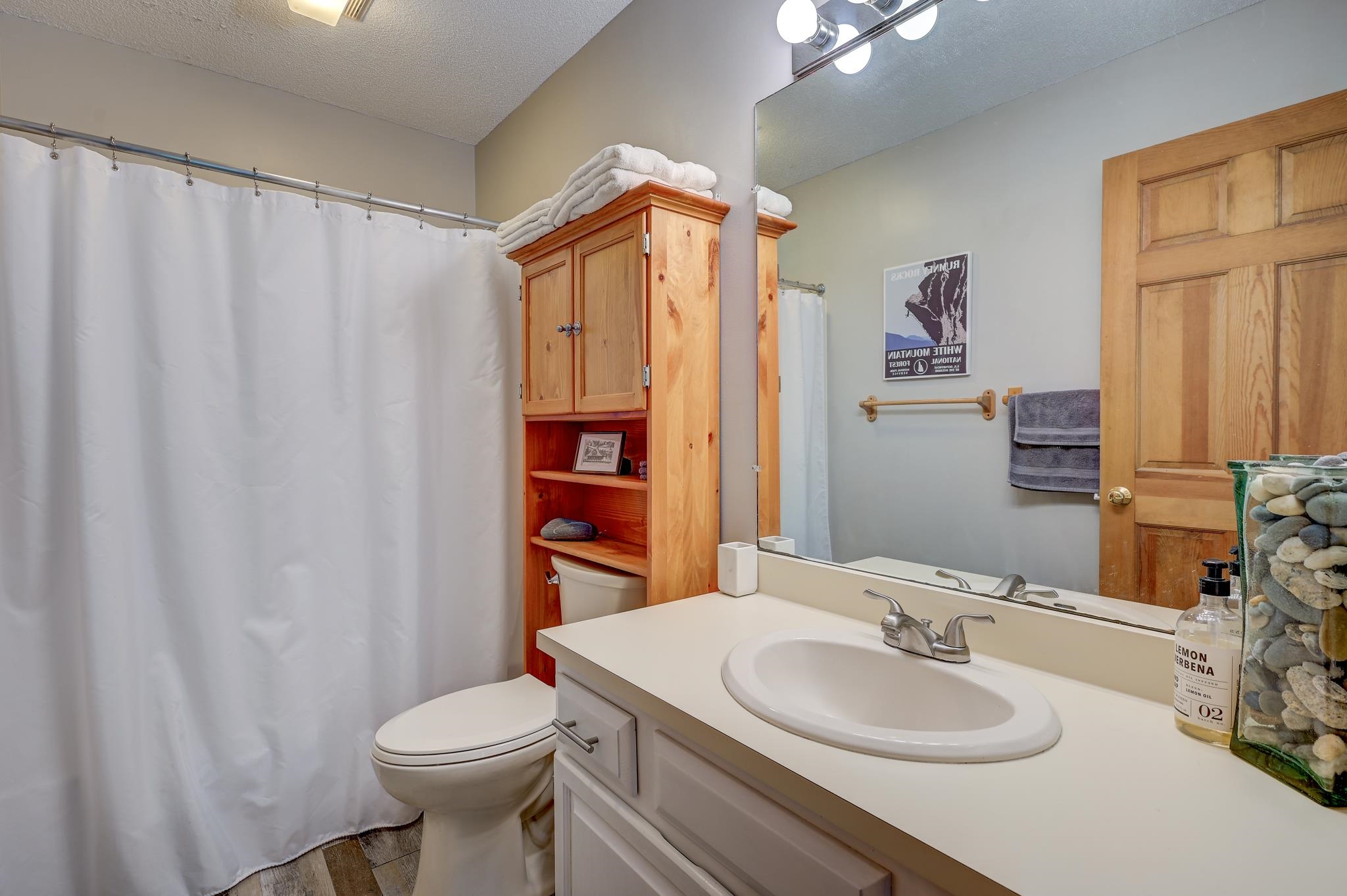 Bathroom with a white vanity and sink, large mirror, shower curtain, and wooden towel cabinet.