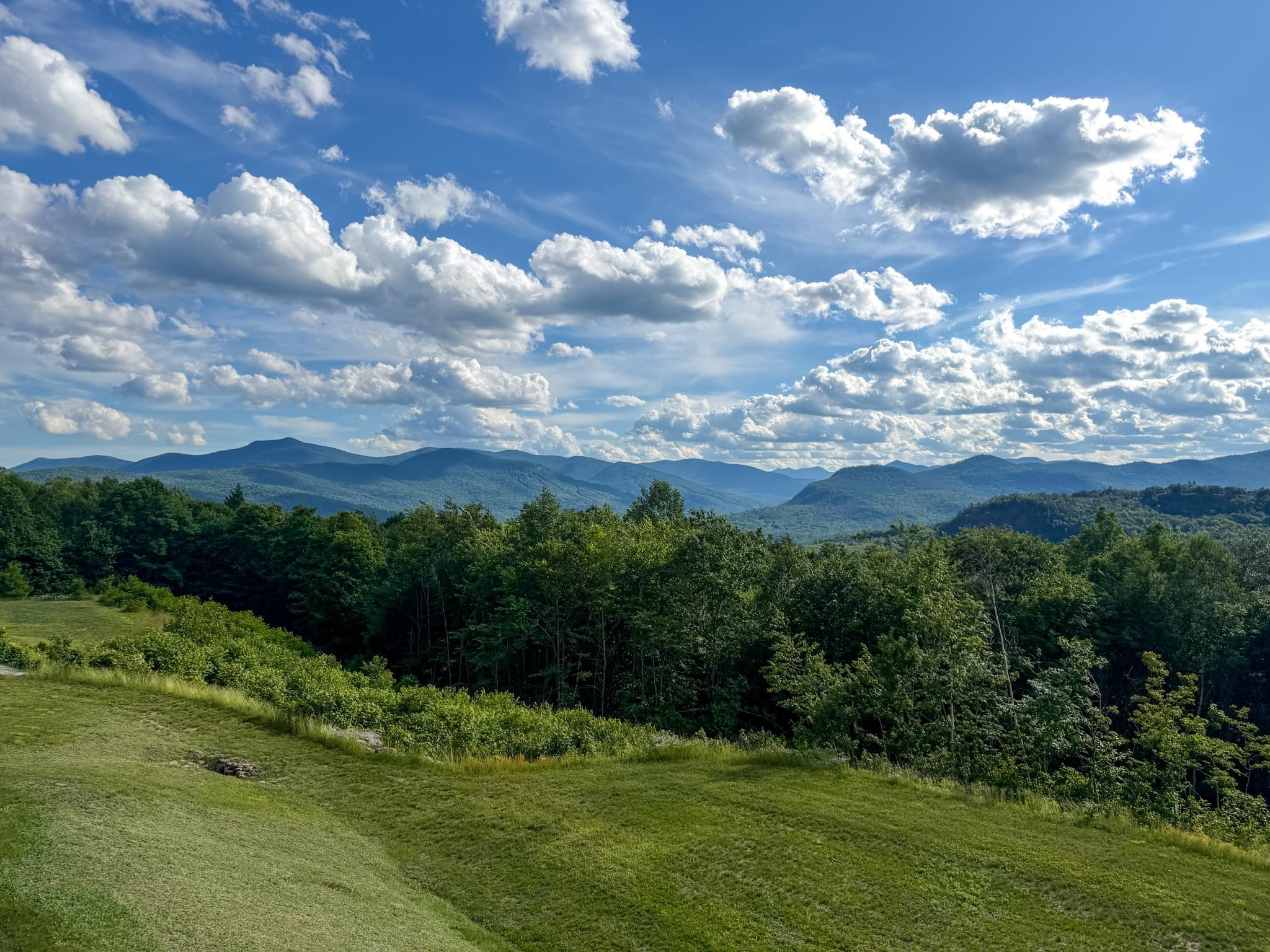 Layered mountain ranges beyond a grassy clearing and dense green woodland.