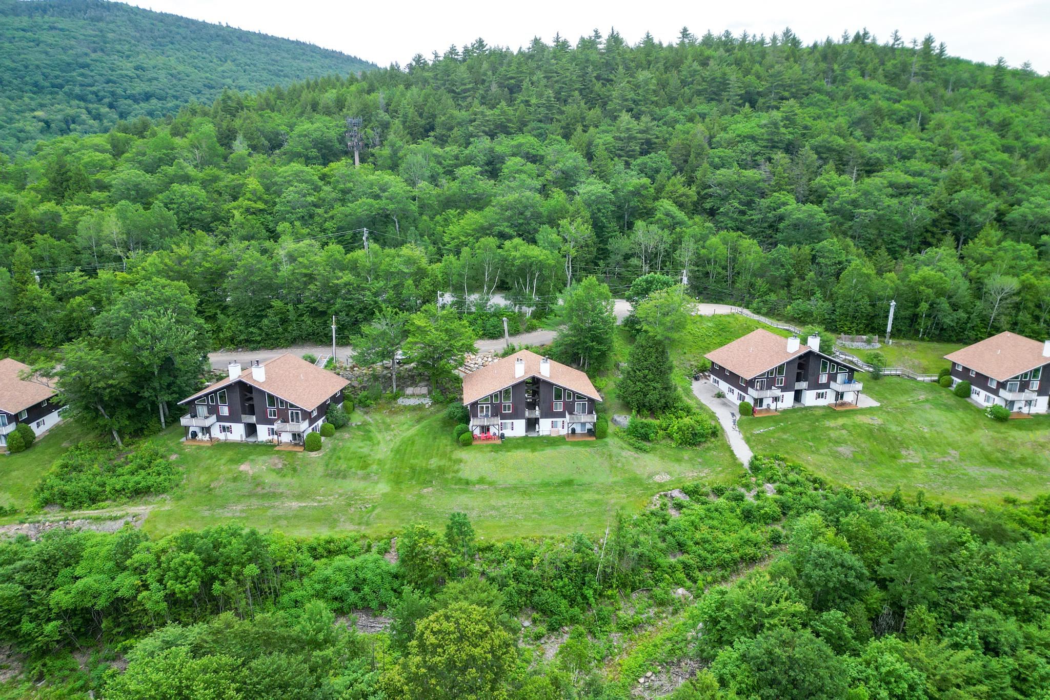 Aerial view of multi-unit buildings in a grassy clearing, backed by dense forest and a wooded mountain.