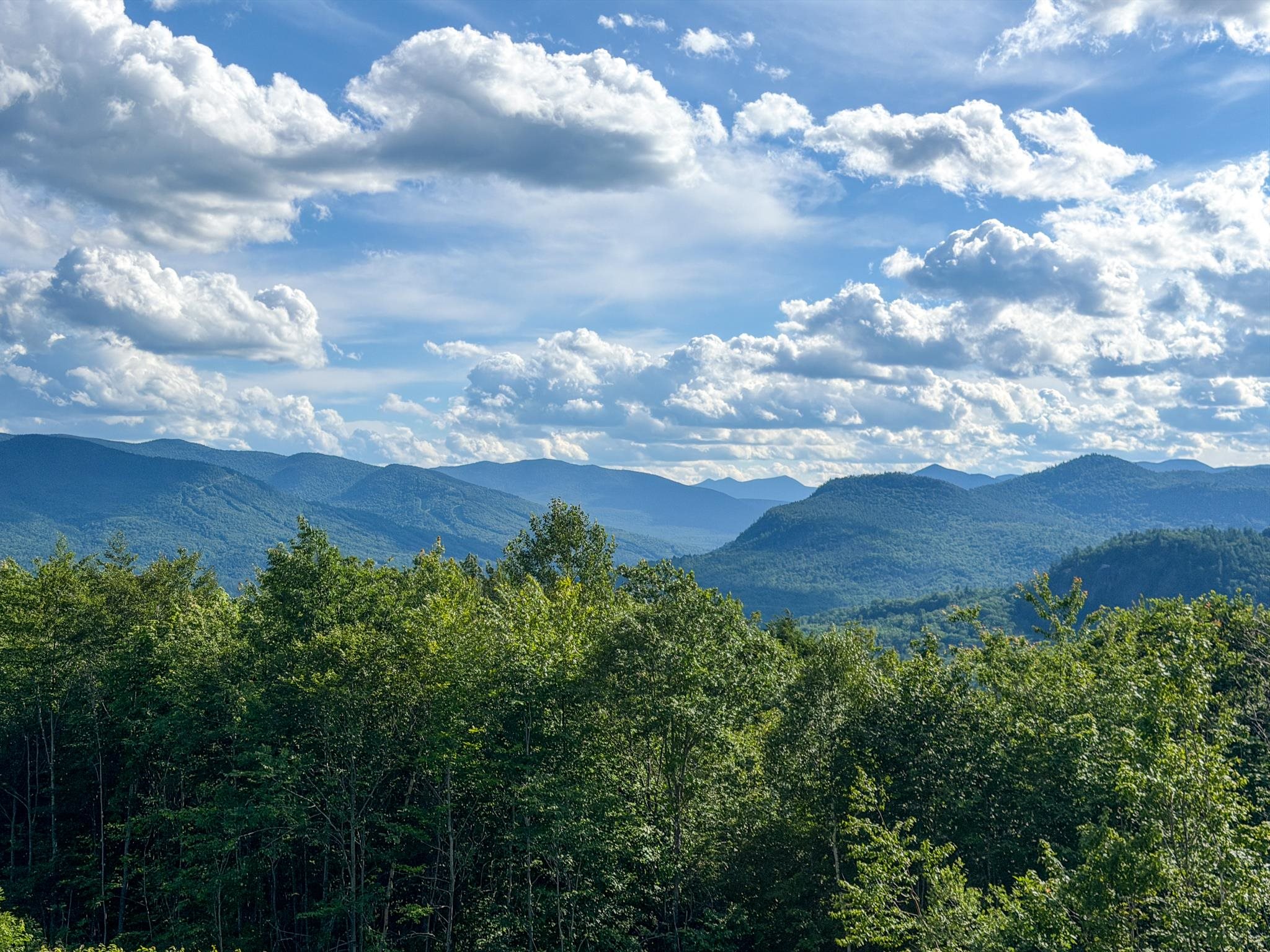 Layered forested mountain ridges rise beyond a dense green tree canopy beneath a cloud-filled sky.