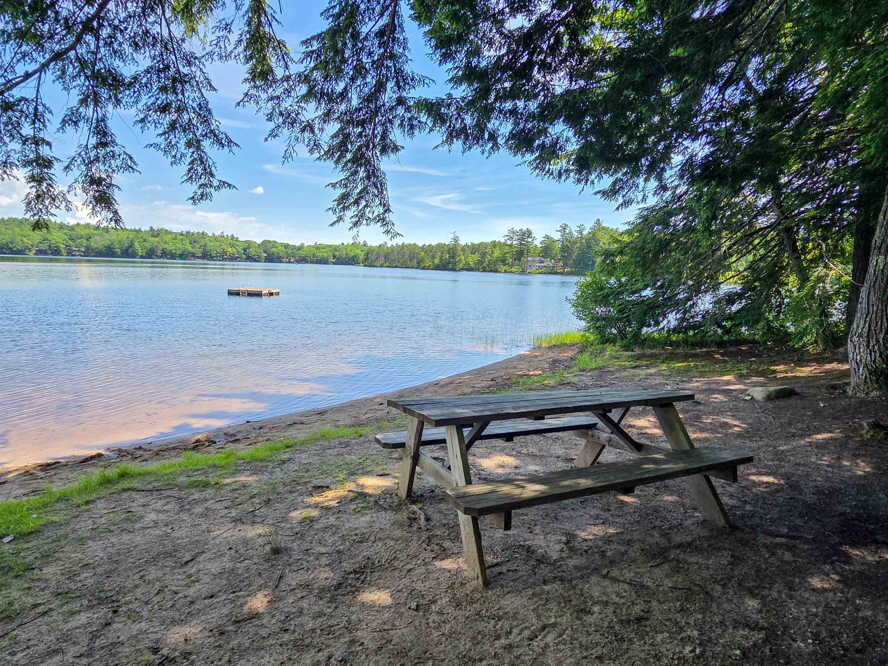 Sandy lakeside picnic area with a wooden table beneath trees, facing a calm lake.
