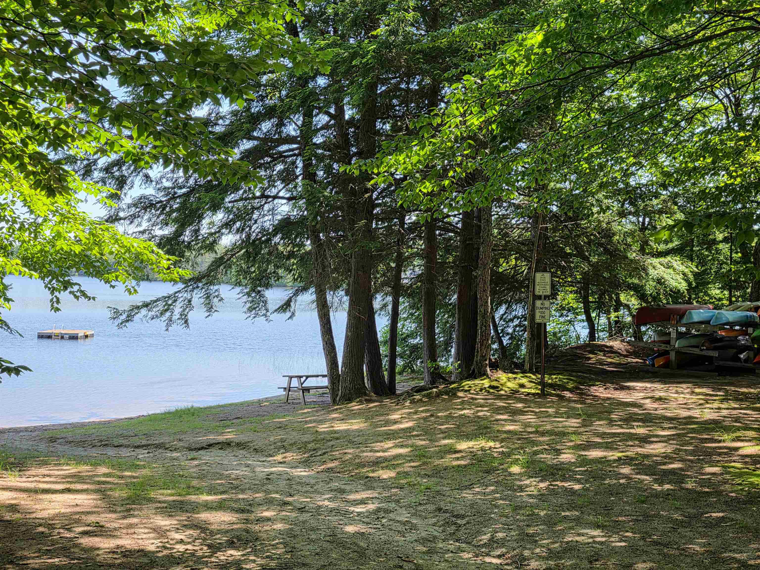 Wooded lakeside beach with a picnic table, floating dock, and kayaks beneath the trees.
