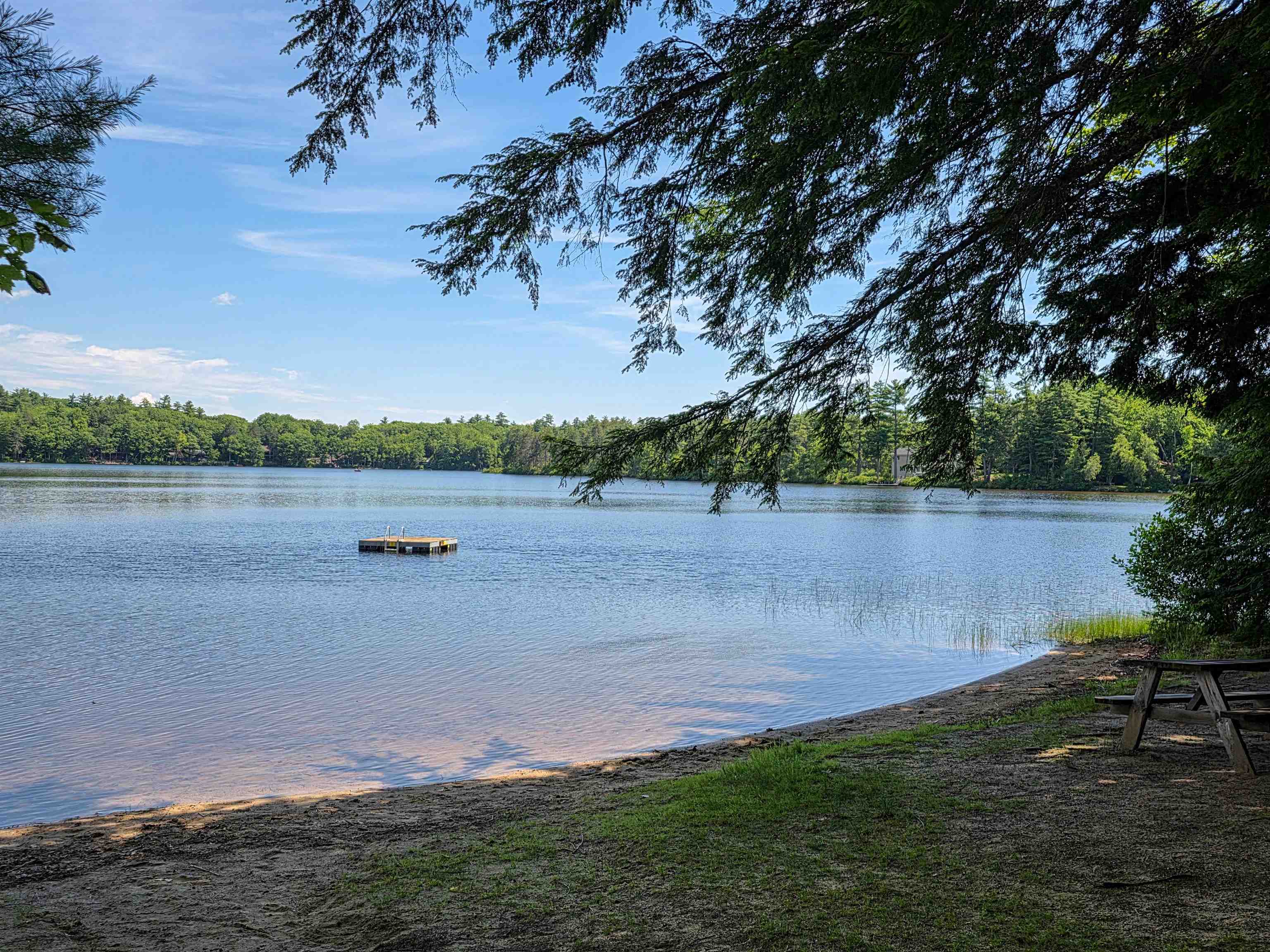 Calm lake and forested shore viewed from a sandy beach, with a floating dock and picnic table.