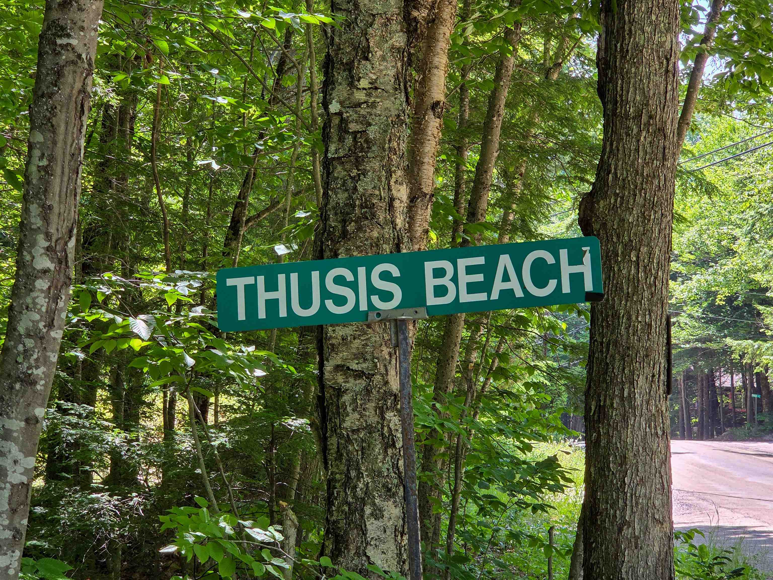 Thusis Beach sign among trees beside a road.