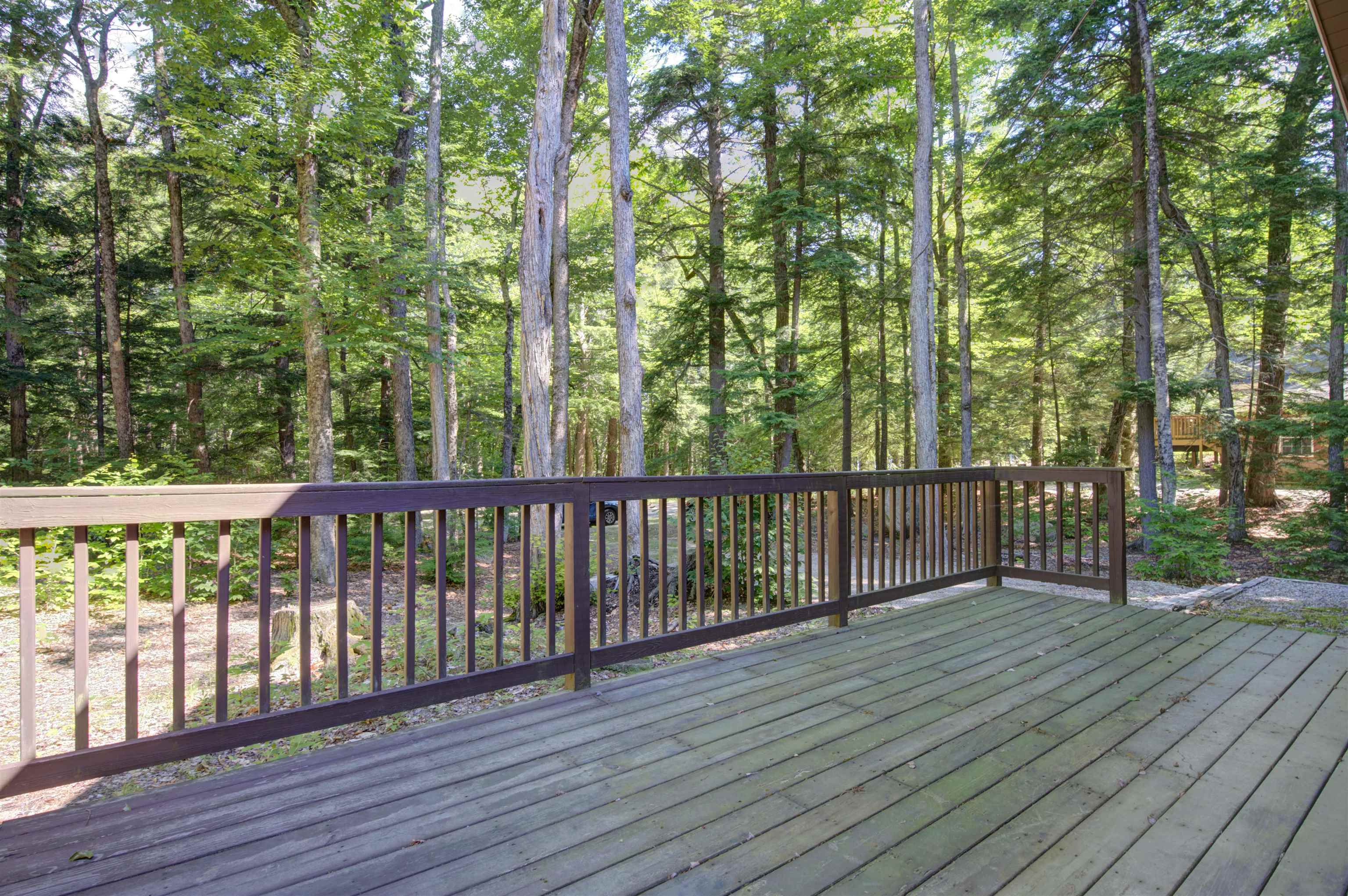 Wooden deck overlooking a densely wooded yard, with dark railings and sunlight filtering through the trees.