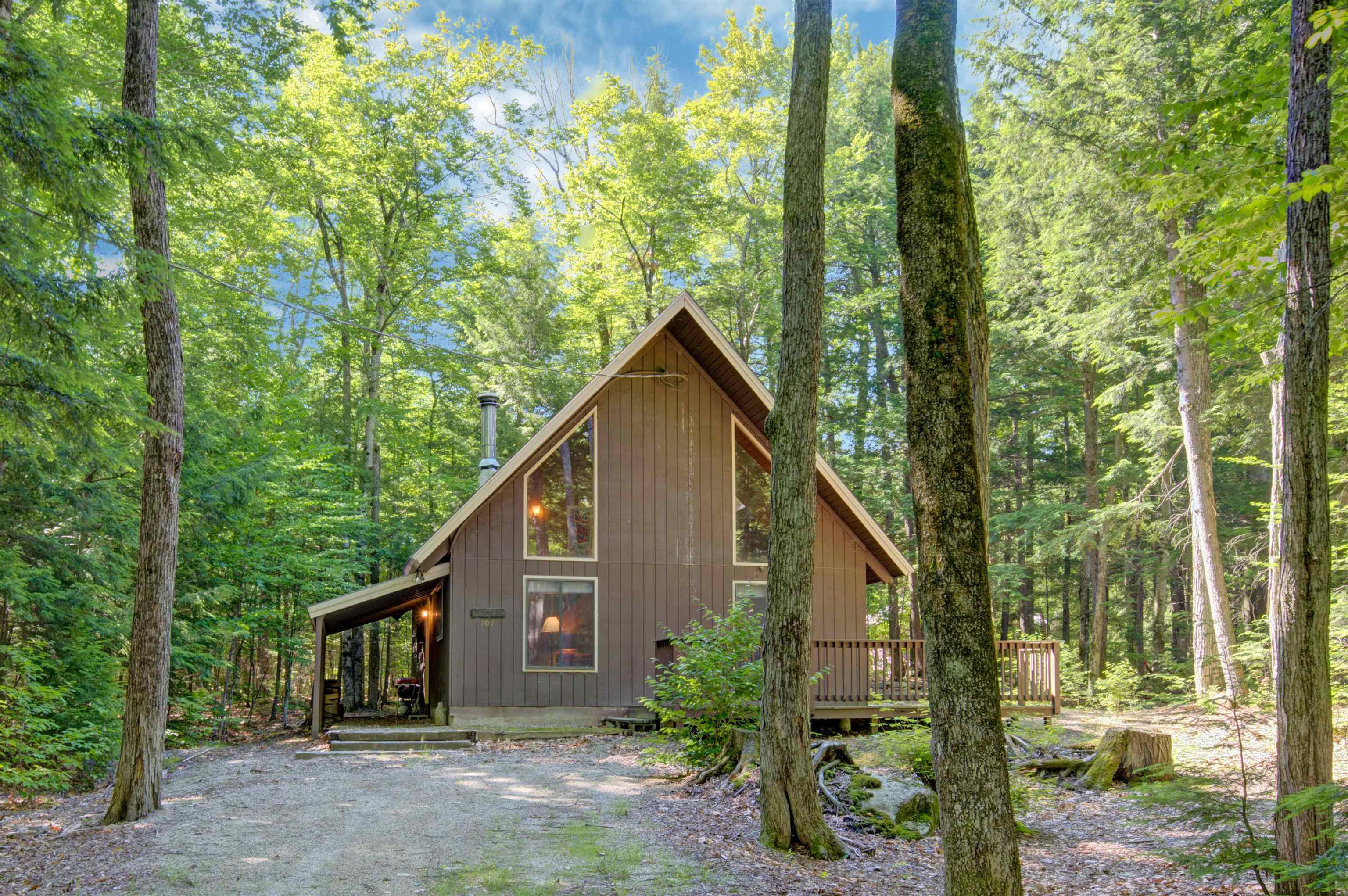 101 Eidelweiss Drive photo