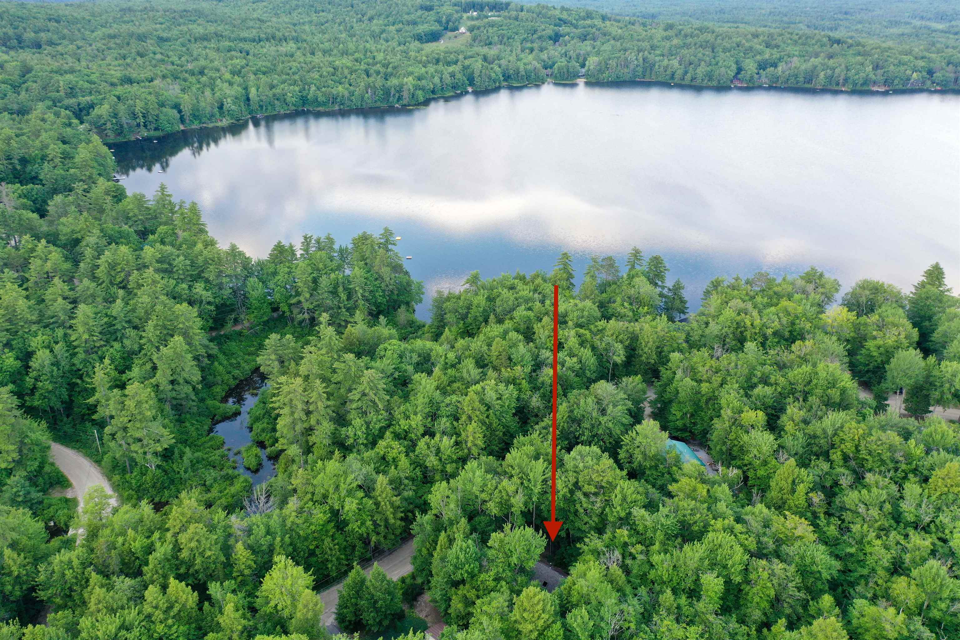 Wooded property marked by a red arrow near a lake, with a small roof visible through the trees.