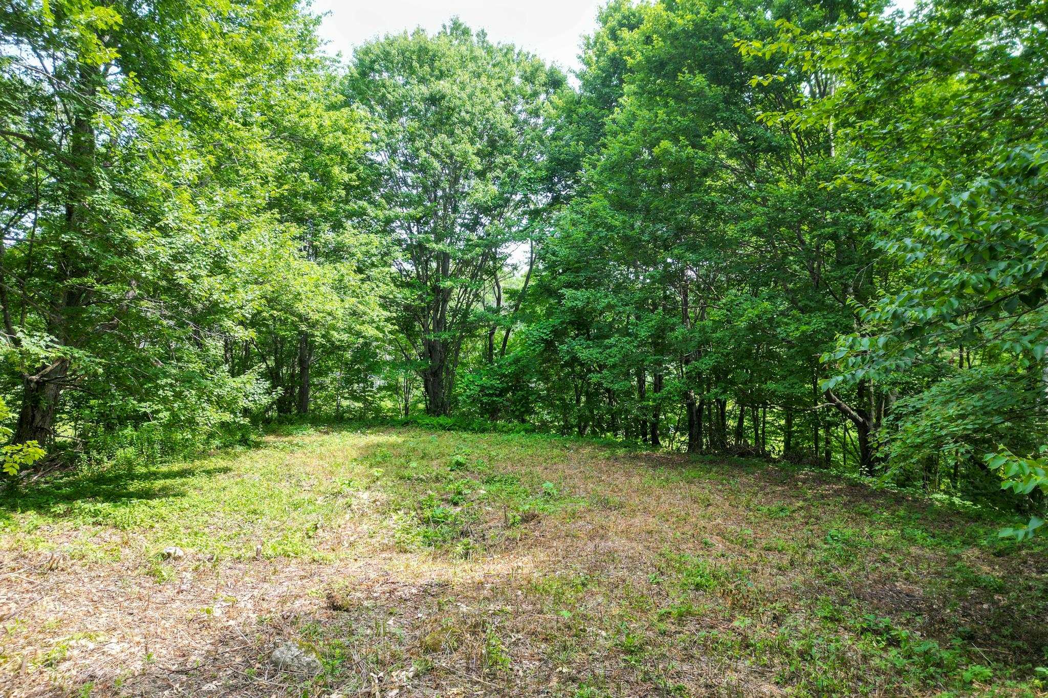 Wooded lot with a sunlit grassy clearing surrounded by mature trees.