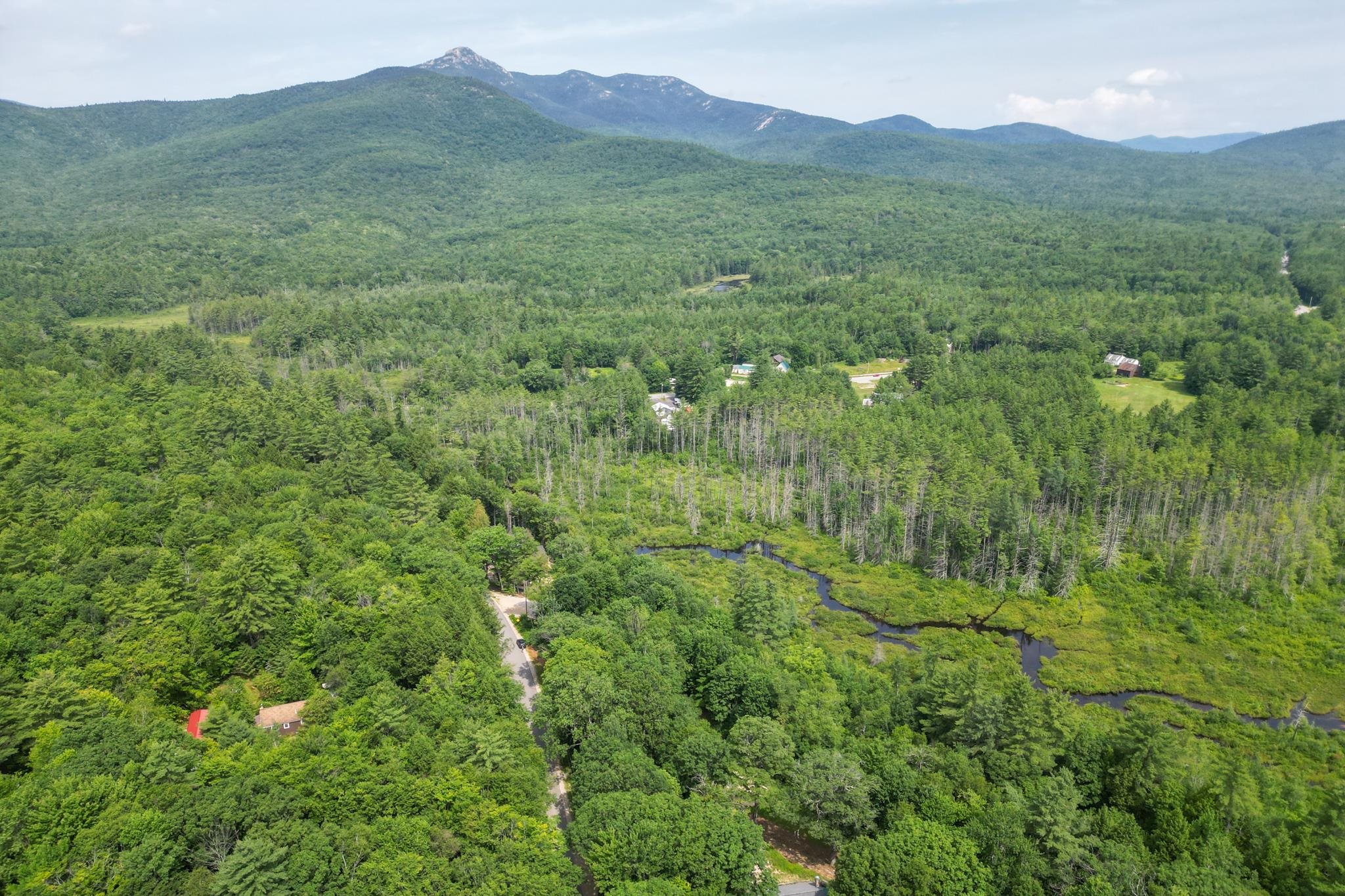Aerial view of forested land with a winding stream, road, and distant mountain range.
