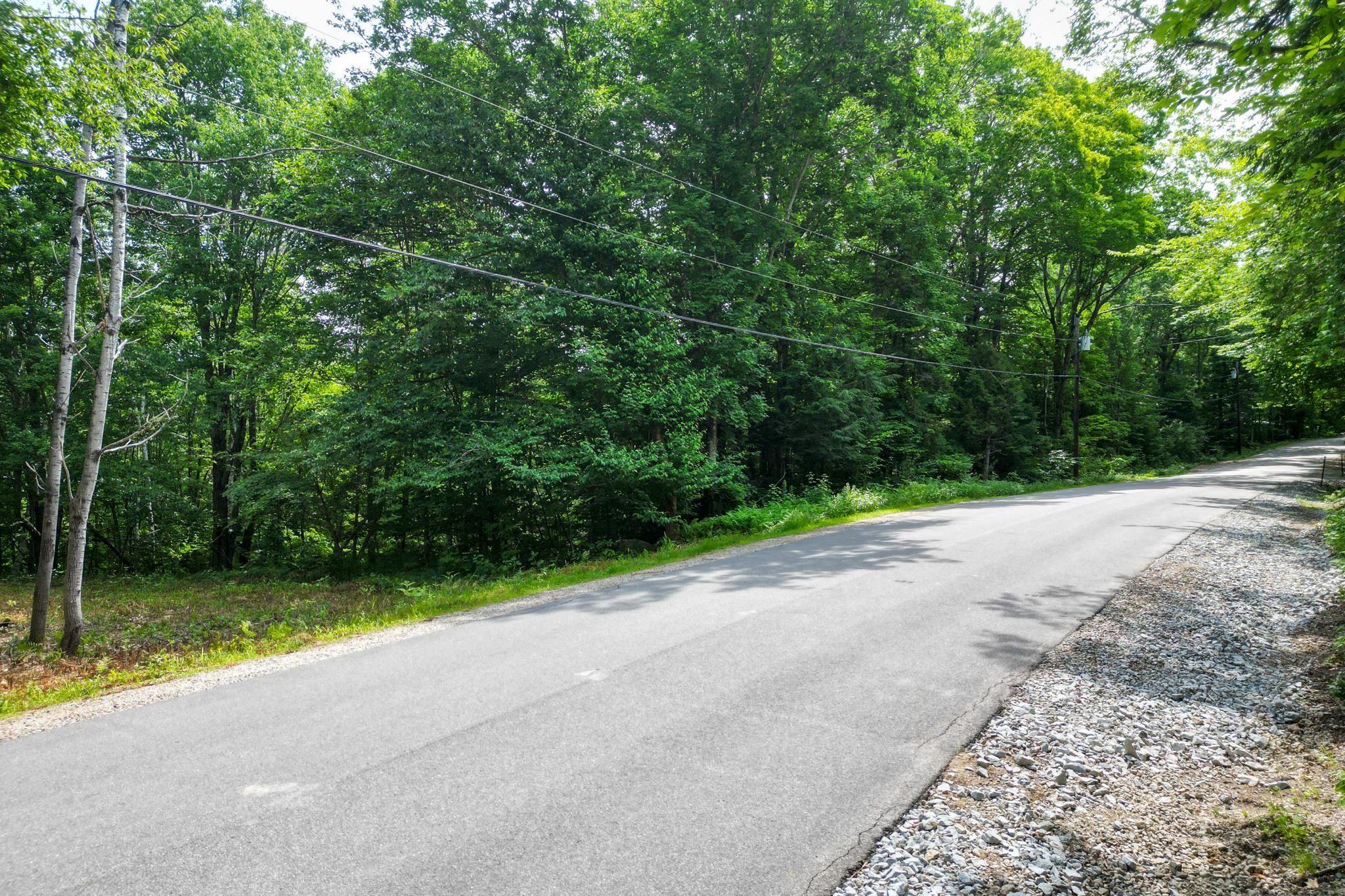 Wooded vacant lot beside a paved road, with gravel shoulder and overhead utility lines.