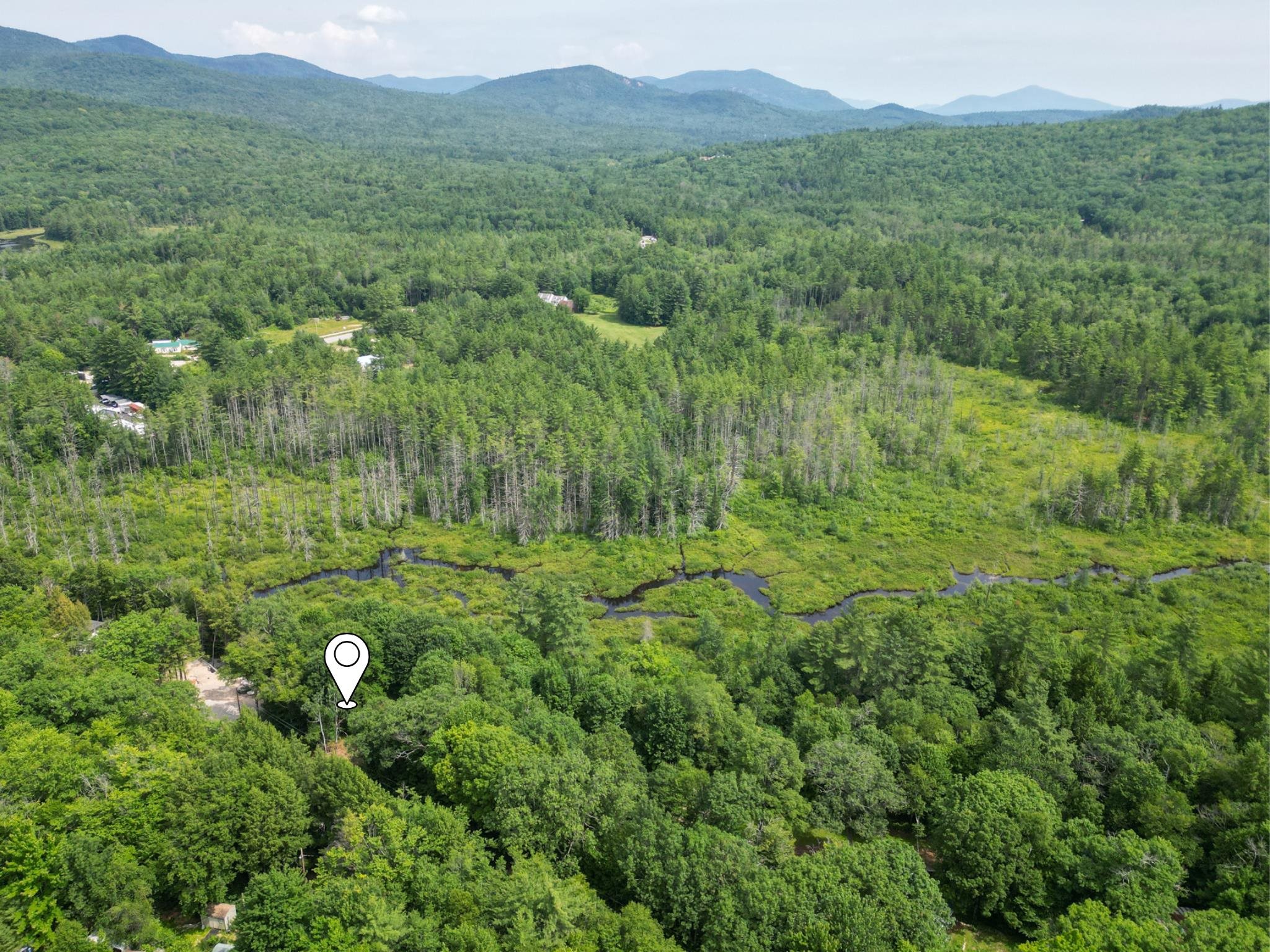 Aerial view of wooded land marked by a pin, with wetlands, stream, and distant mountains.