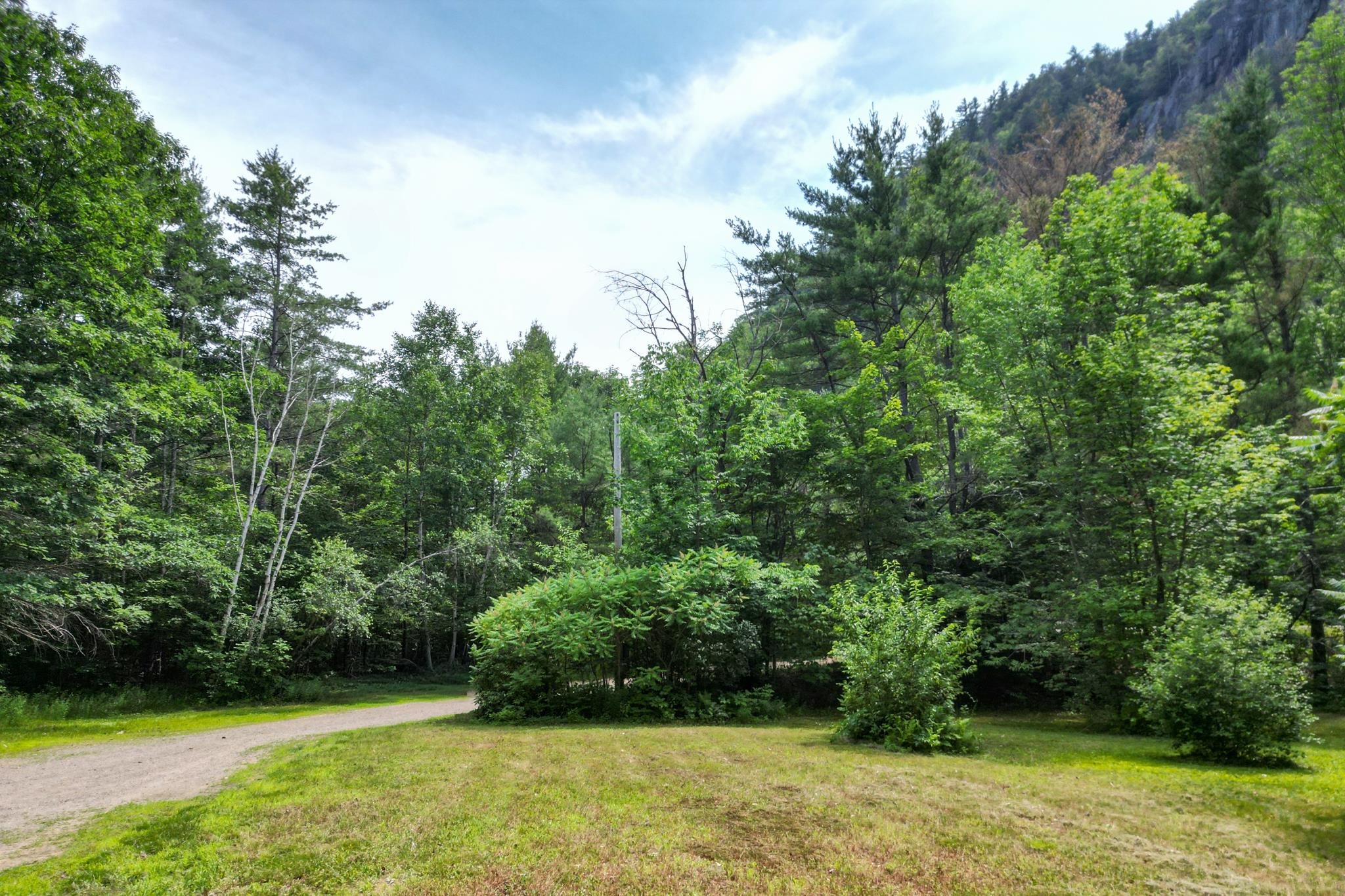 Grassy clearing bordered by dense woods, with a curving gravel driveway and rocky slope beyond.