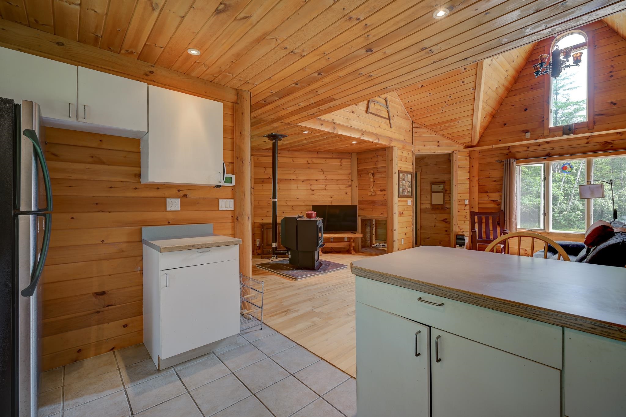 Wood-paneled open-plan kitchen and living area with a freestanding stove and large windows.