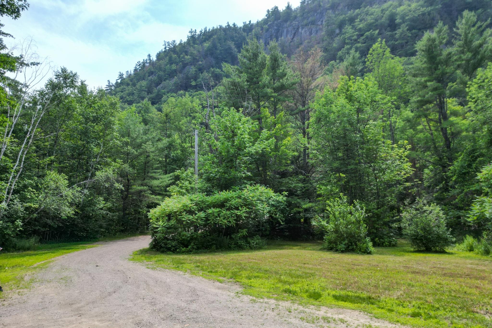 Gravel driveway curves through a wooded clearing below a steep mountain.