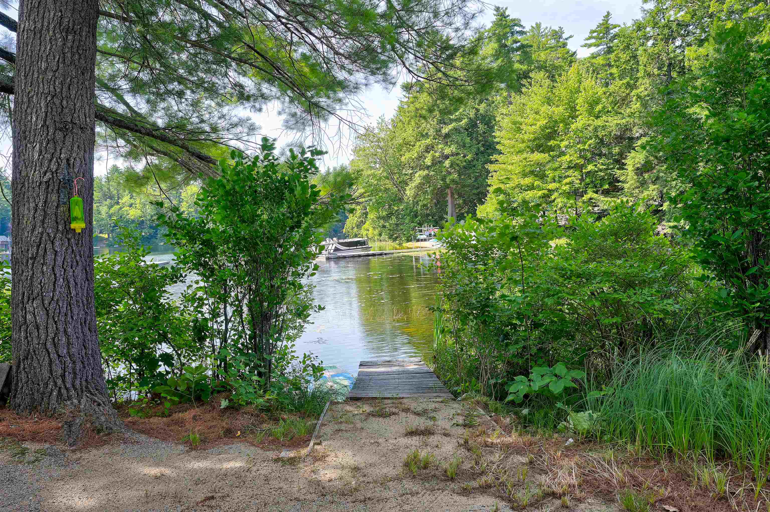 Wooded lakeshore with a sandy path, small dock, and boat across the water.