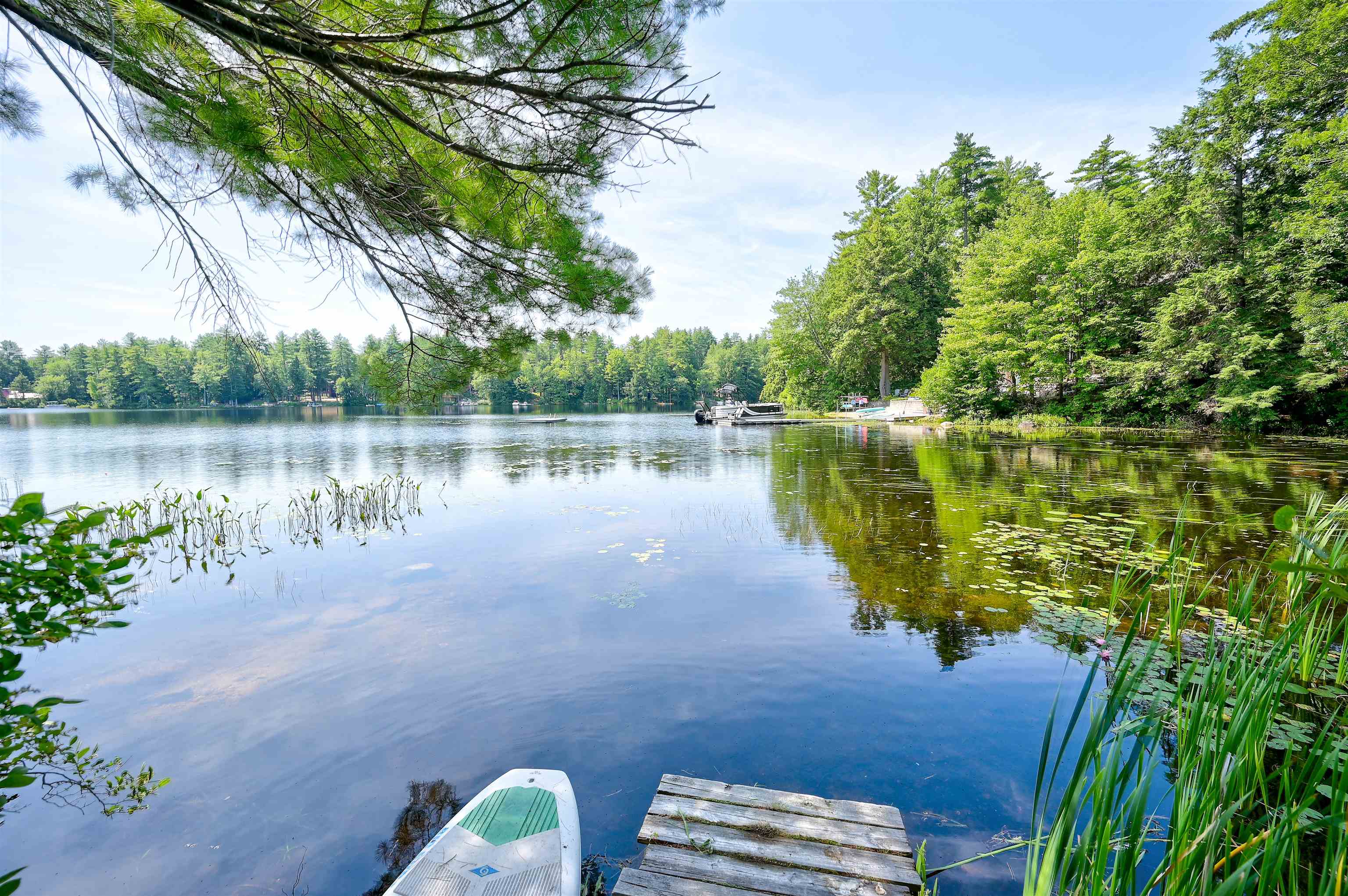 Tree-lined lake with lily pads, a small boat, and a wooden dock in the foreground.