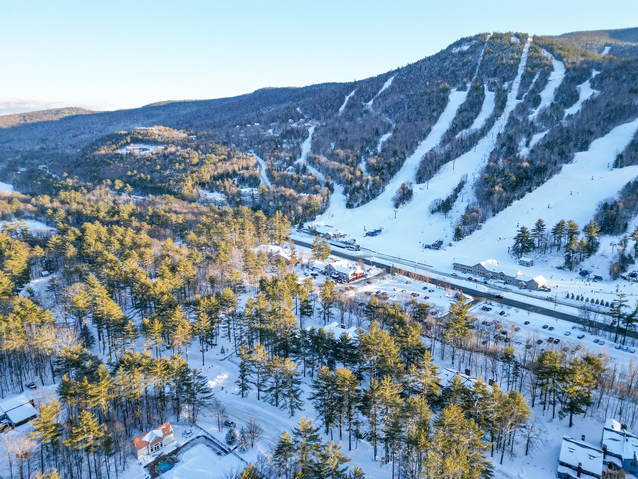 Aerial view of a snowy ski resort with mountain ski trails and homes among the surrounding trees.