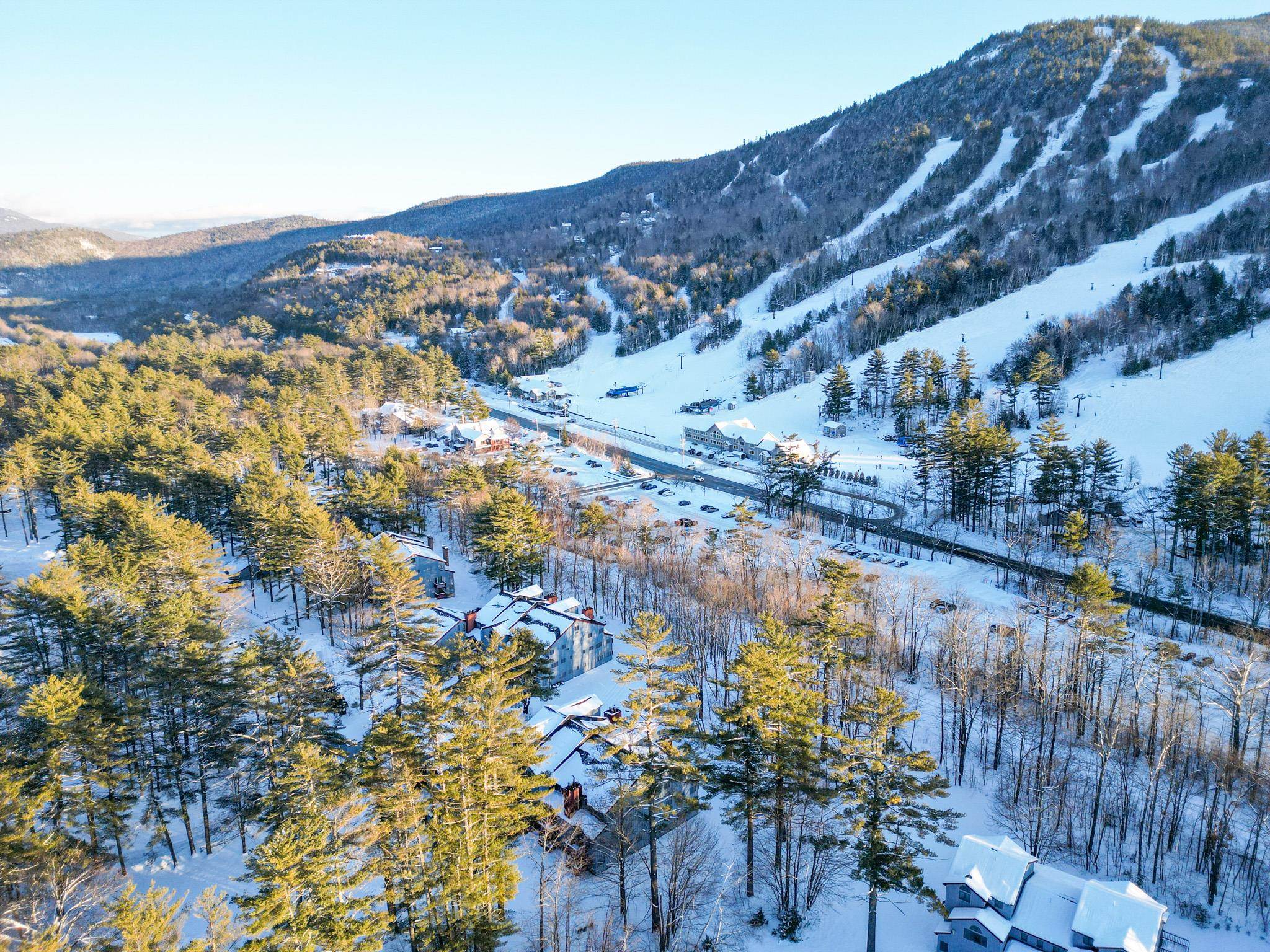 Snowy homes beside ski slopes, surrounded by evergreen forest and mountain trails.