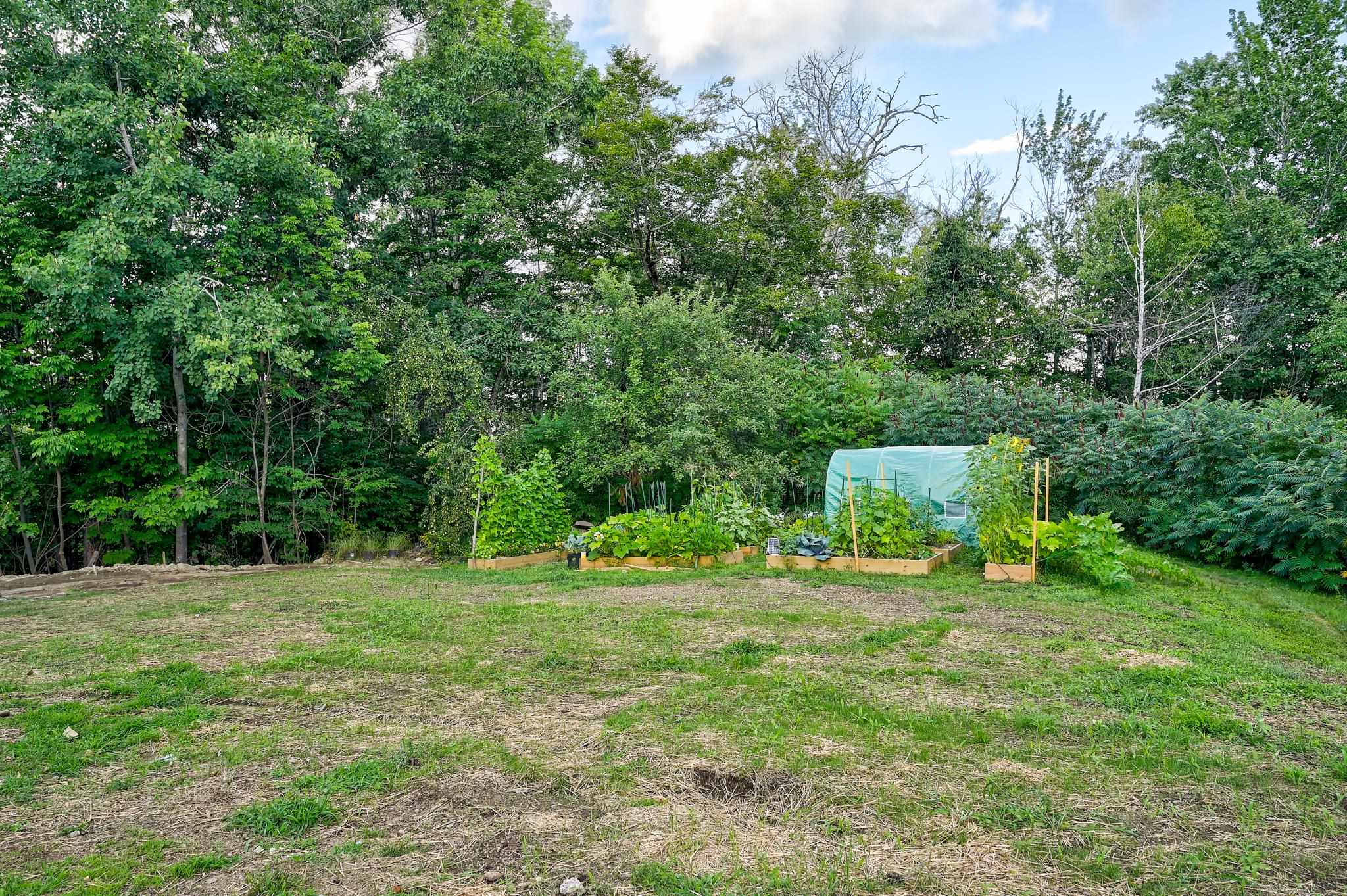 Backyard garden with raised vegetable beds and a small greenhouse beside a wooded tree line.