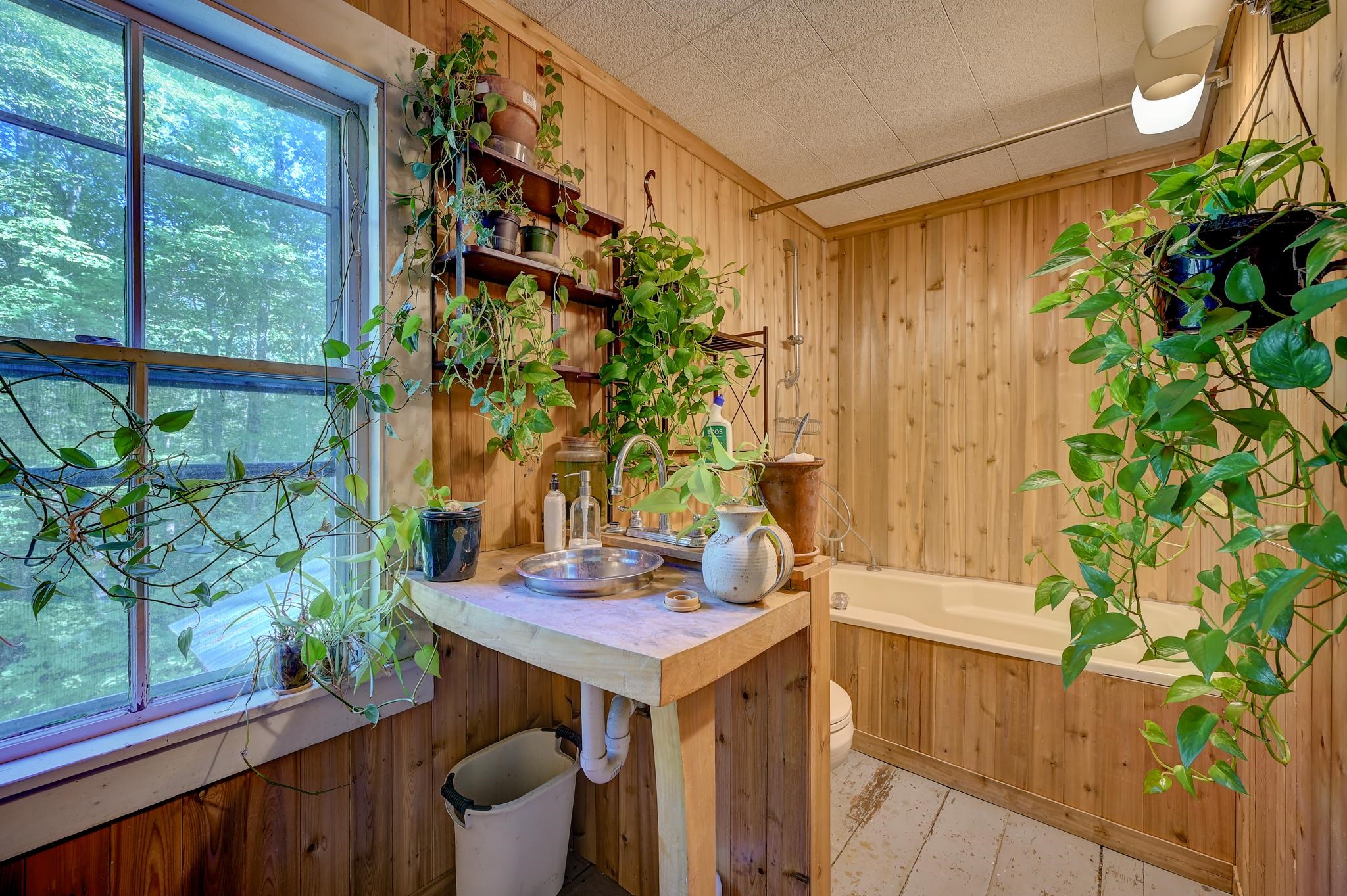 Wood-paneled bathroom with a large leafy-window view, bathtub, sink, and abundant plants.