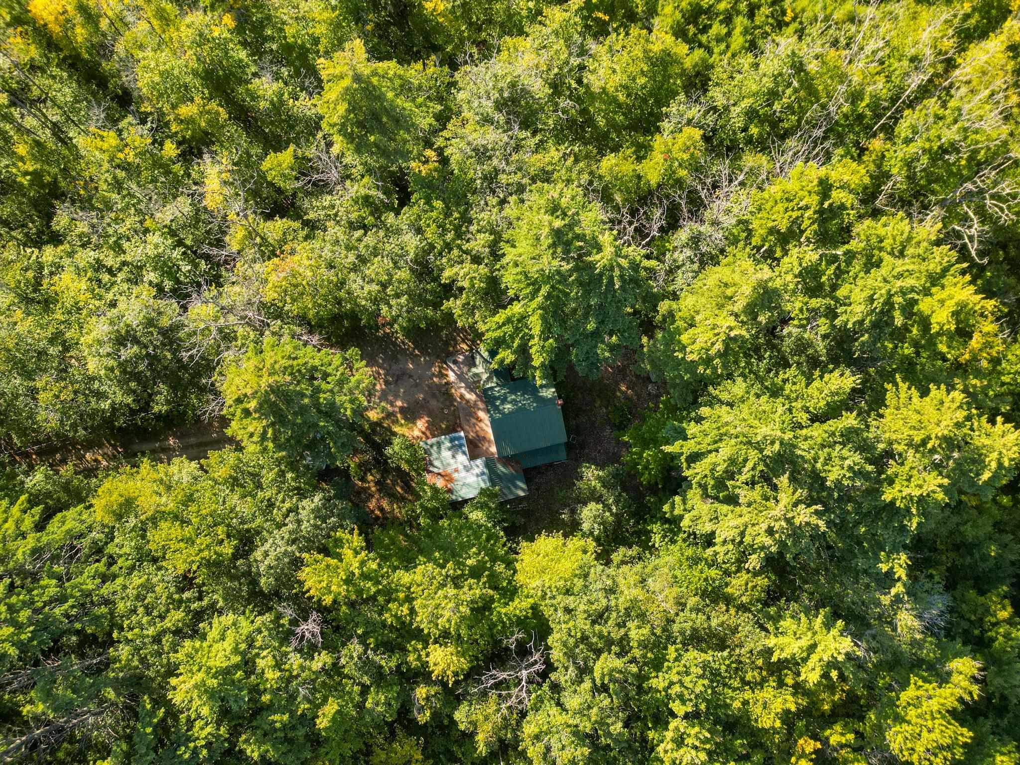 Aerial view of a wooded property, with a house and clearing surrounded by dense trees.