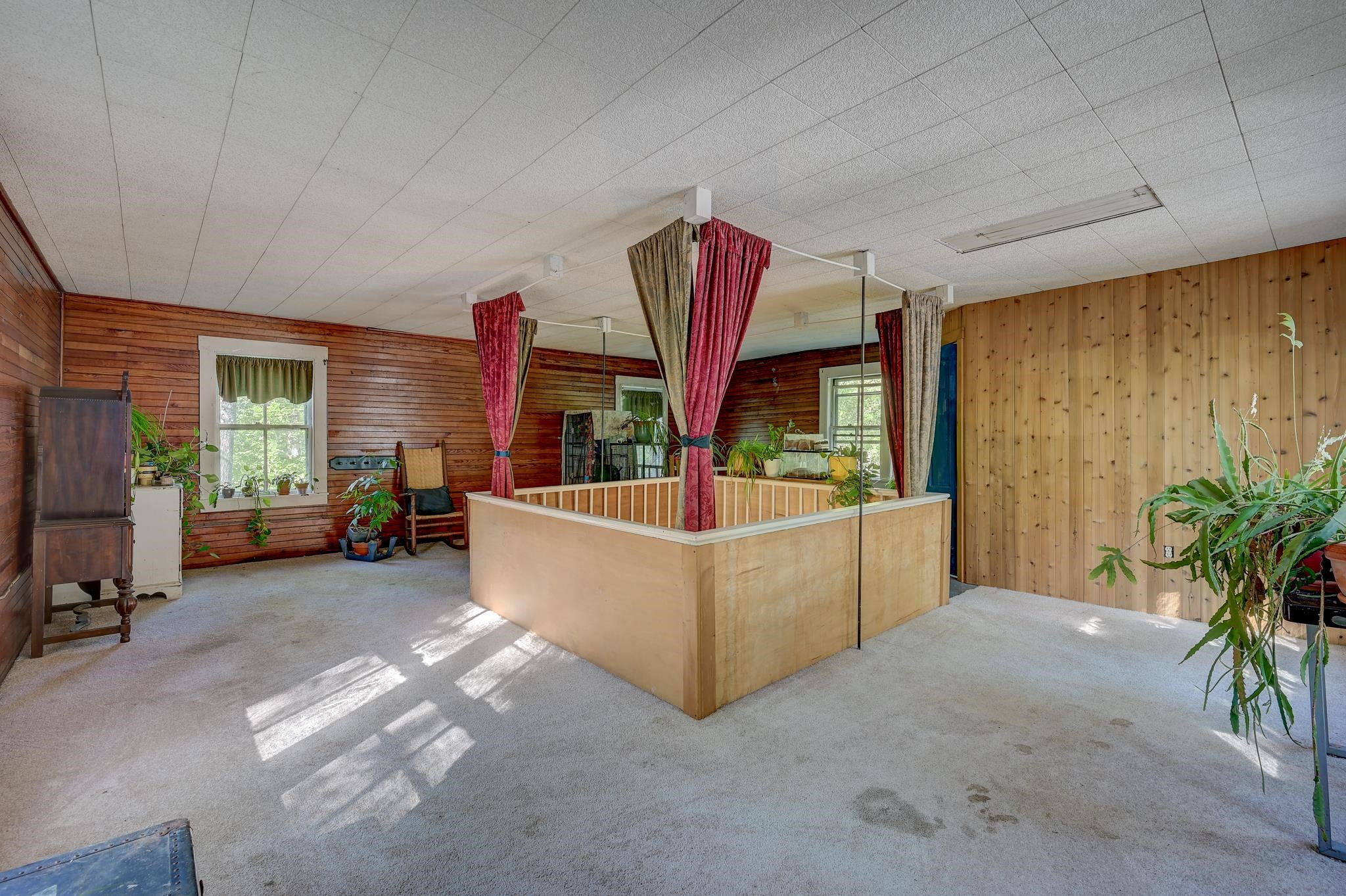 Carpeted room with wood-paneled walls, plants, and a curtained wooden partition.