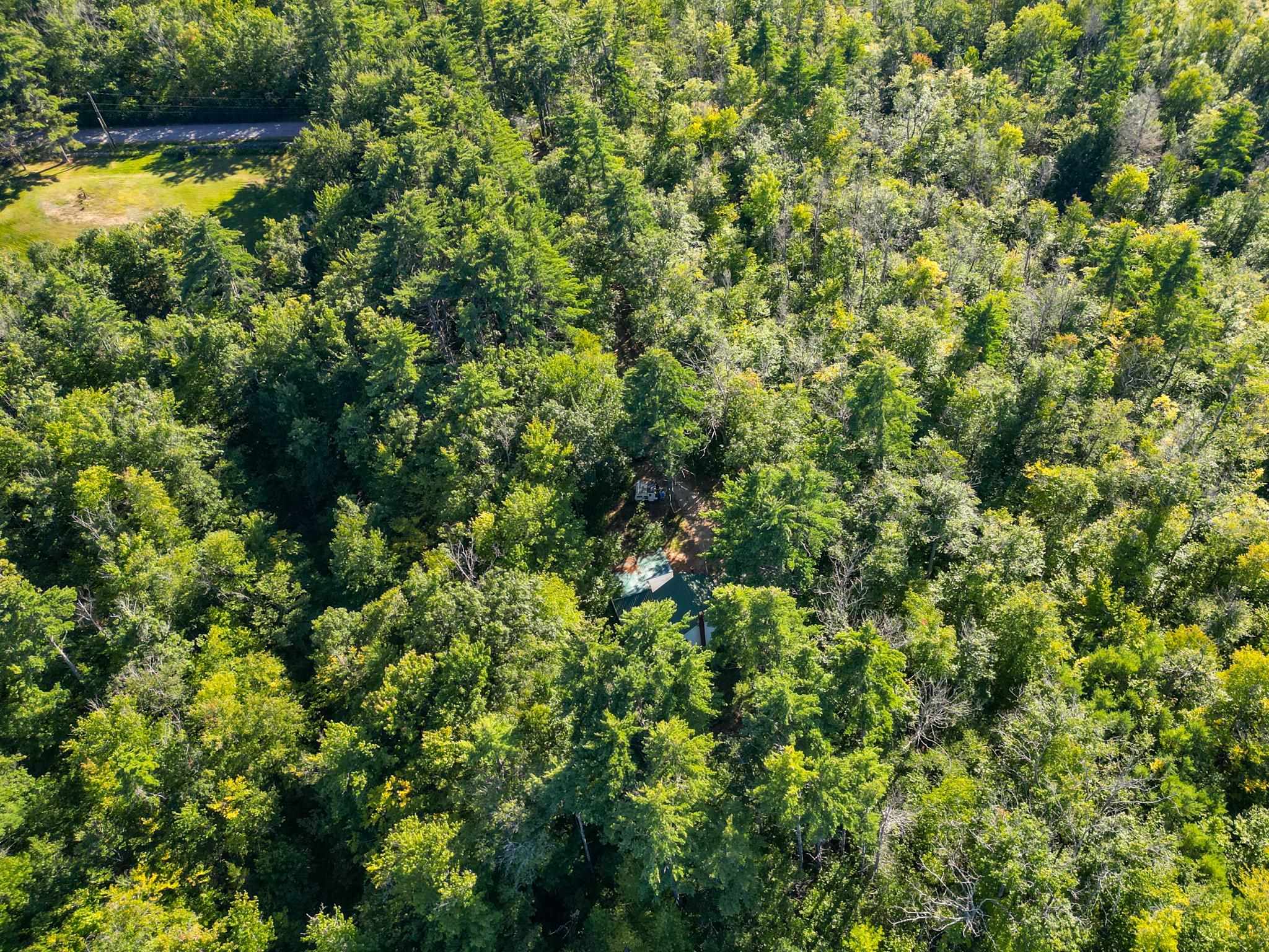 Aerial view of a home and swimming pool surrounded by dense woodland.