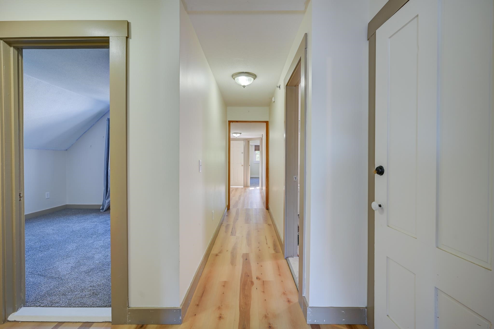 Hallway with light wood floors, white paneled doors, and an open doorway to a carpeted room.