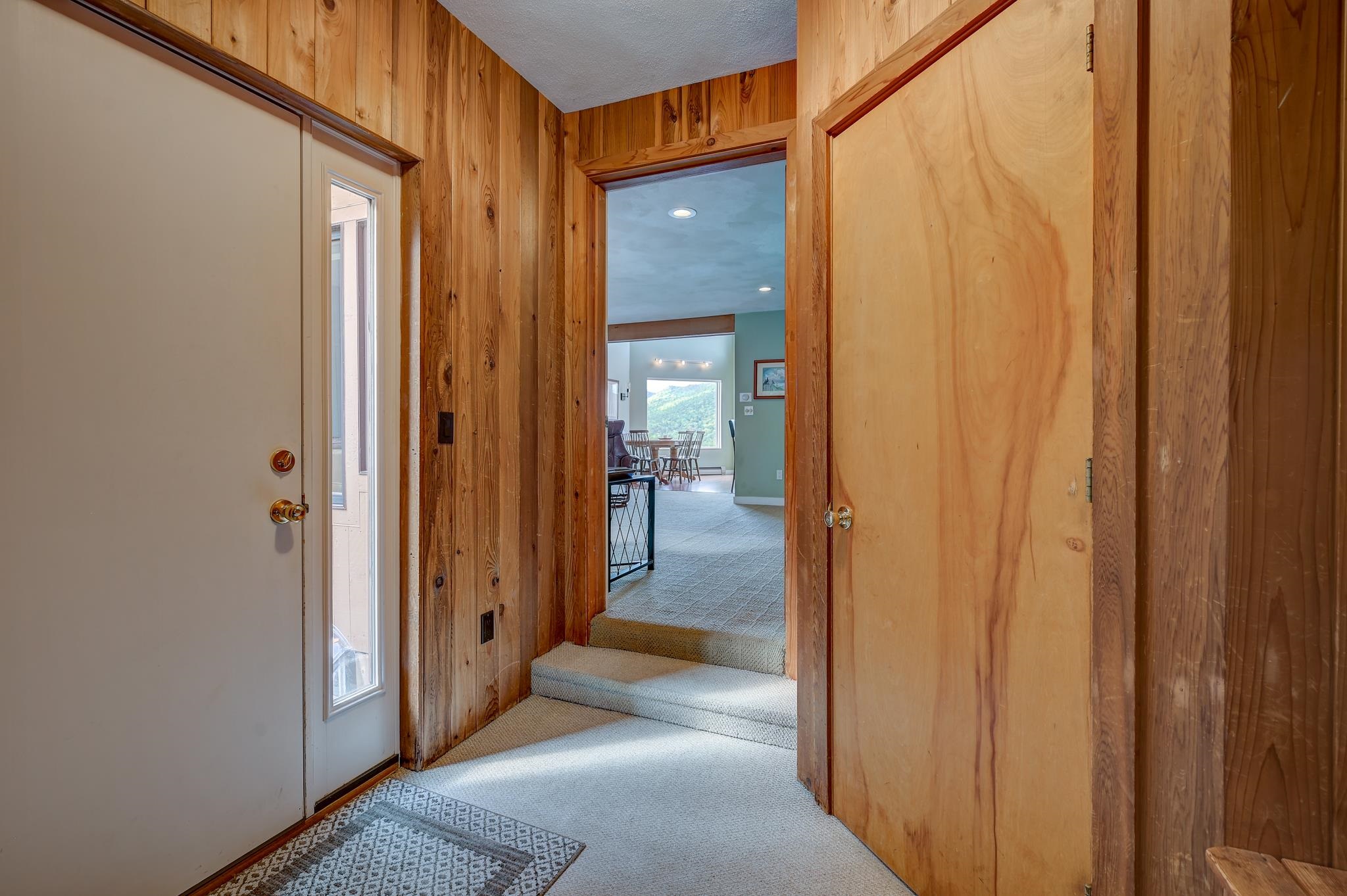Wood-paneled entryway with carpeted steps leading to a furnished living area and a mountain view.
