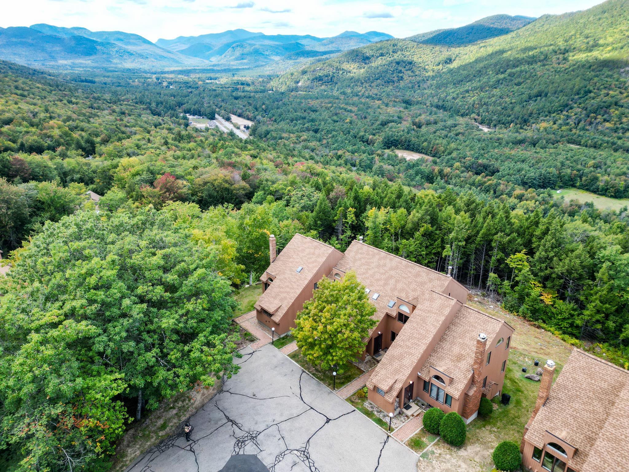 Aerial view of brown-roofed condominiums amid forest, with mountains across the distant horizon.