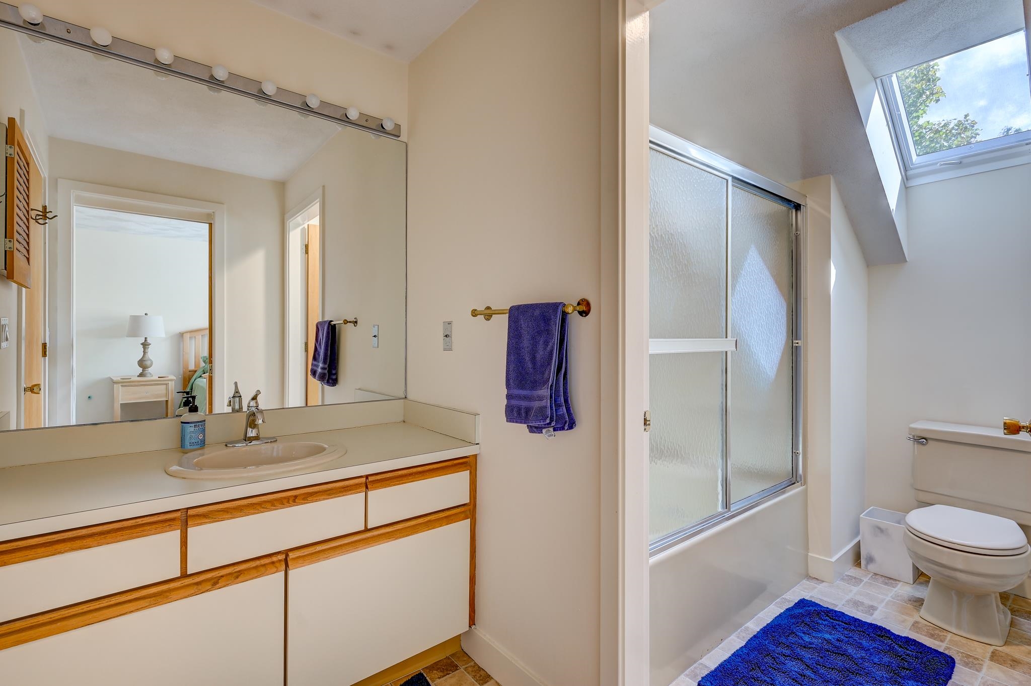 Bathroom with a long mirrored vanity, frosted-glass shower, and skylight.