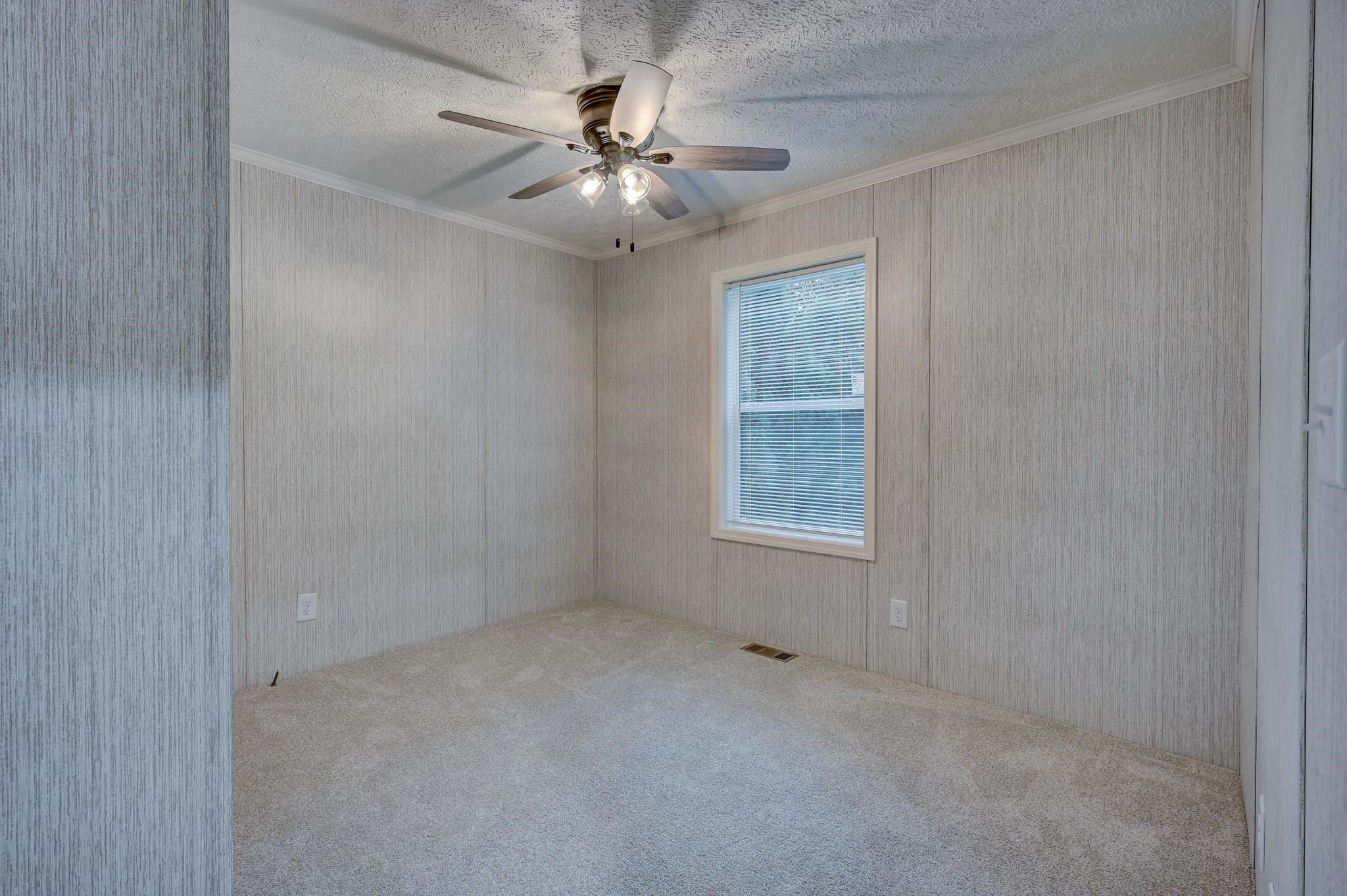 Empty carpeted bedroom with gray textured walls, a window with blinds, and a ceiling fan.