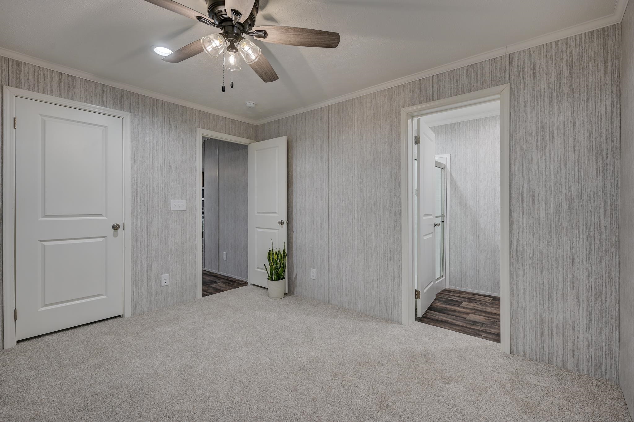 Empty carpeted bedroom with gray walls, a ceiling fan, and open closet and bathroom doorways.
