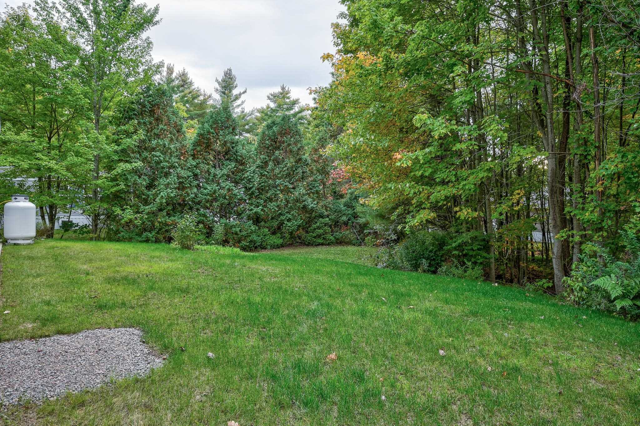 Grassy residential yard bordered by dense trees, with a propane tank and gravel patch.