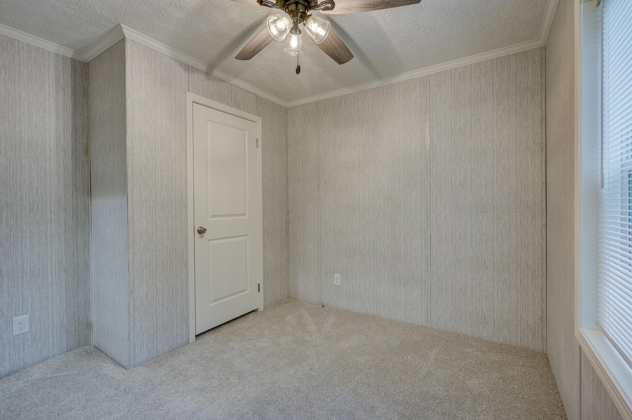 Empty carpeted room with textured gray walls, a ceiling fan, and a window with blinds.