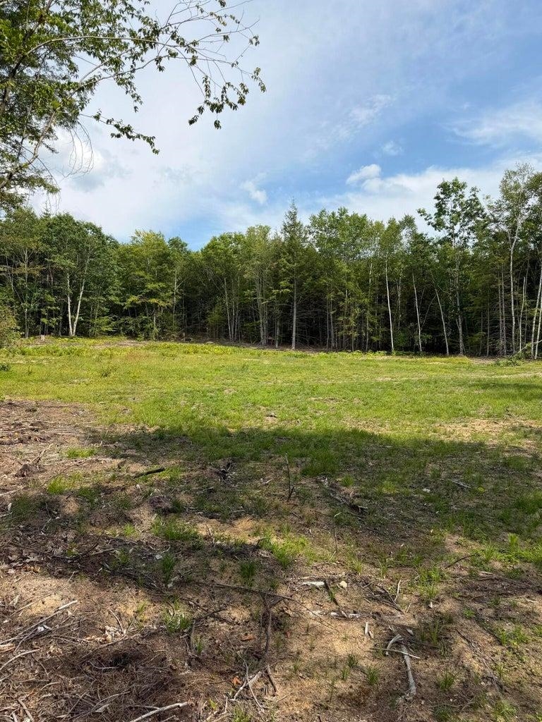 Open grassy lot bordered by trees, with a partly cloudy sky.