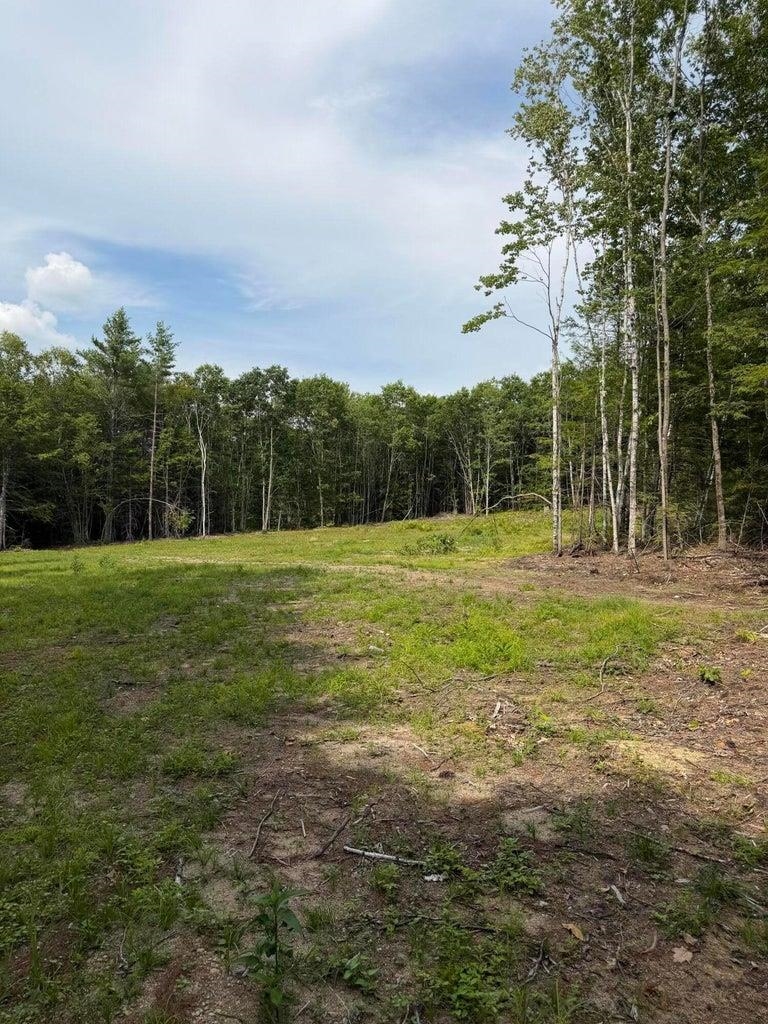 Cleared grassy opening with a dirt track, bordered by mature trees.