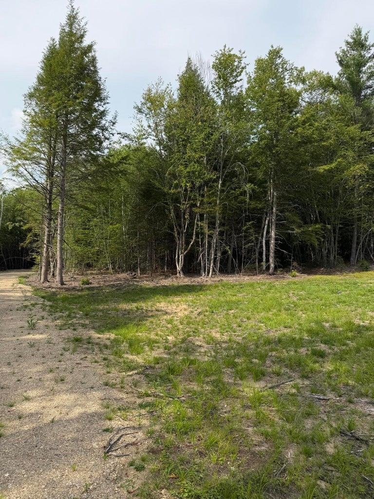 Grassy vacant lot with a gravel track and dense woodland along its edge.