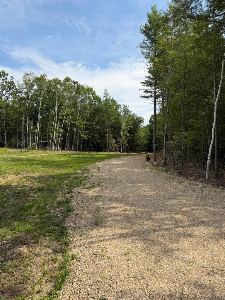 Gravel drive curves past a grassy clearing into a wooded lot.